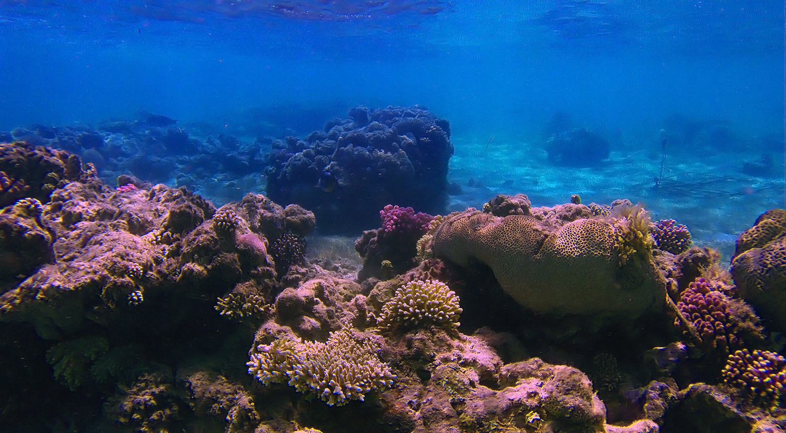GoPro HERO3+ Black Edition sample photo. Dcim\100gopro photography