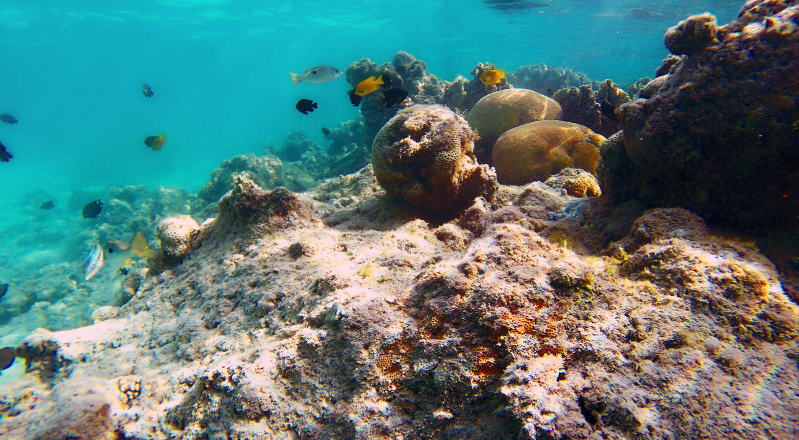 GoPro HERO3+ Black Edition sample photo. Dcim\100gopro photography