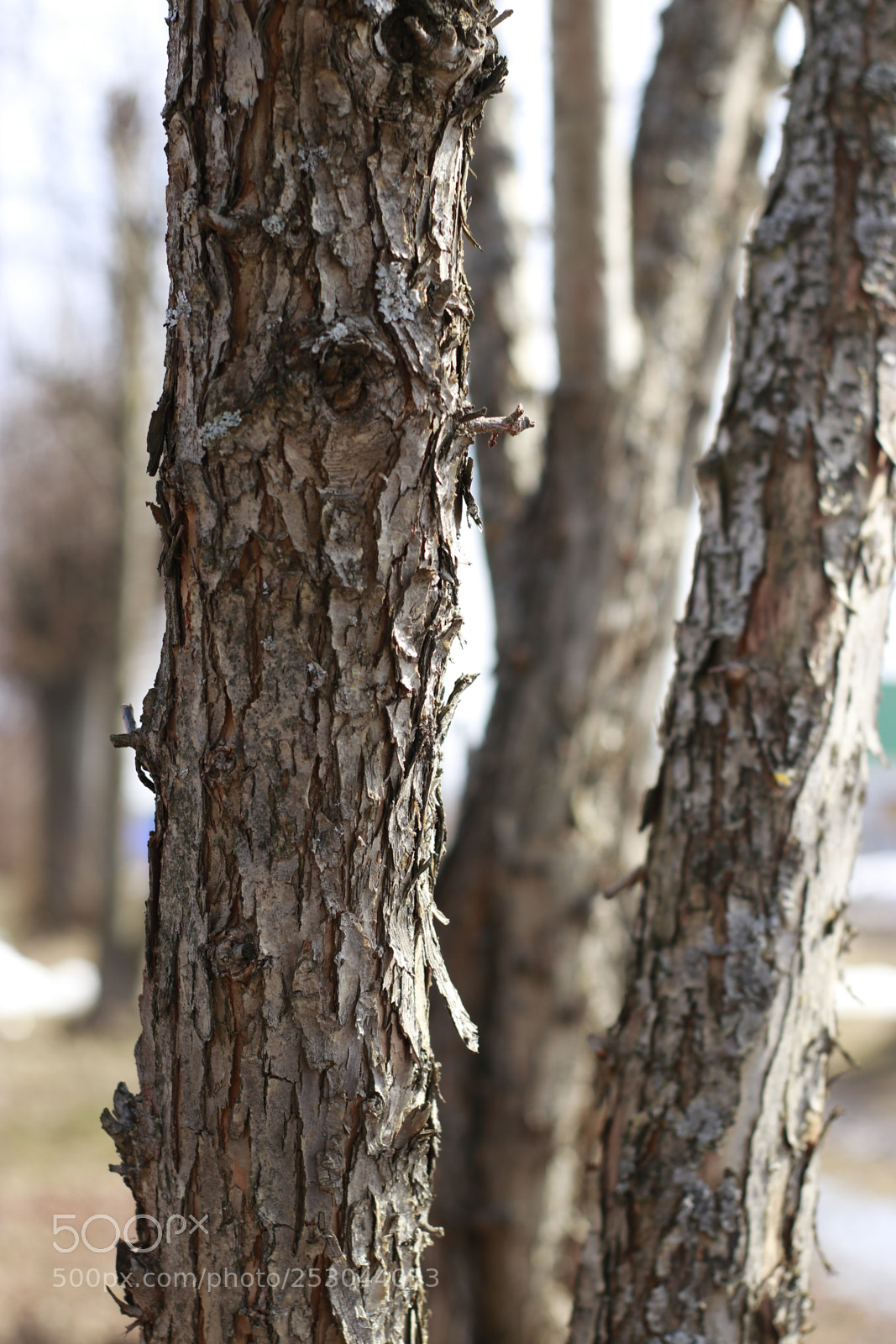 Canon EOS 80D sample photo. Untitled photography