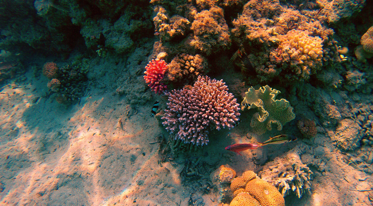 GoPro HERO3+ Black Edition sample photo. Dcim\100gopro photography