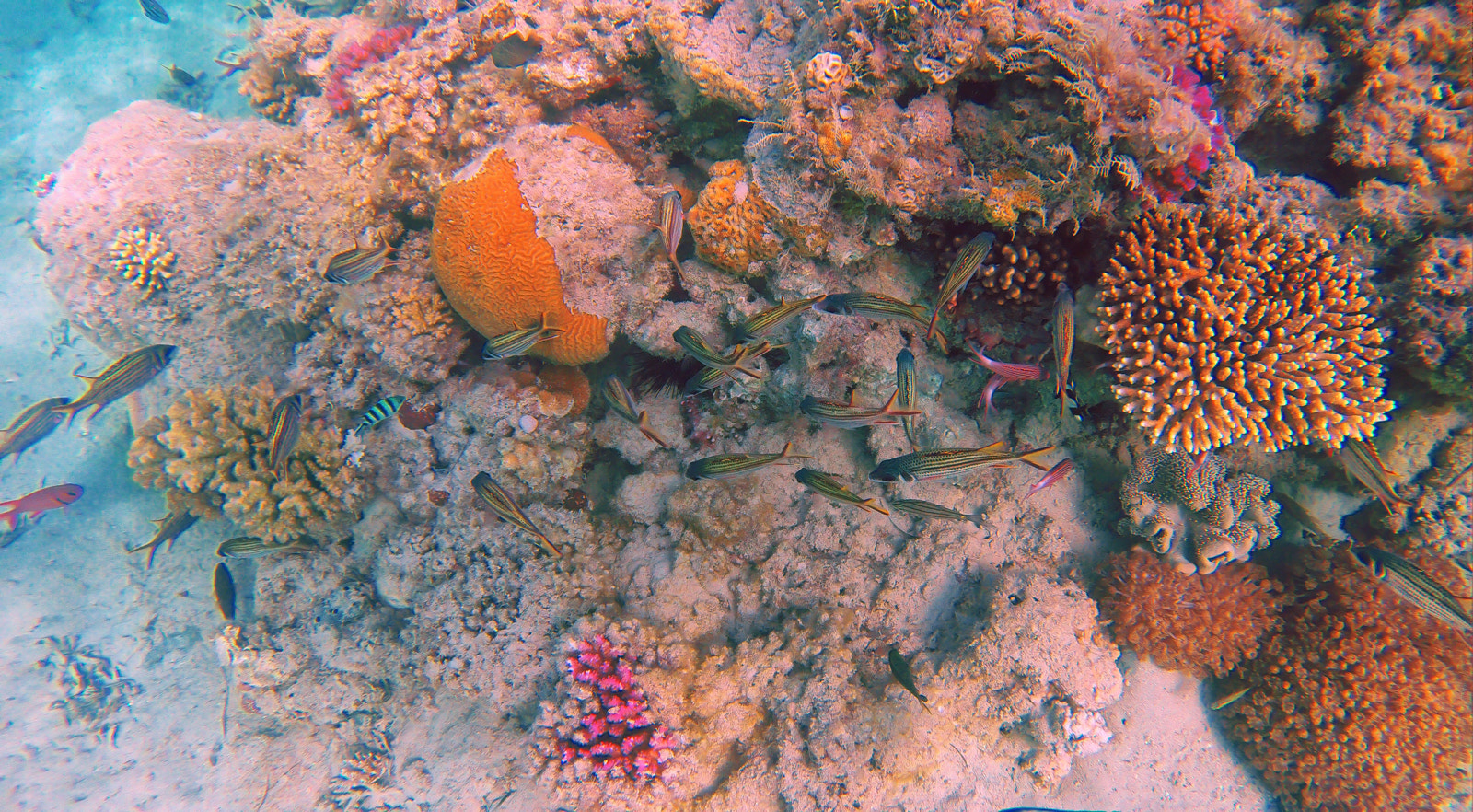 GoPro HERO3+ Black Edition sample photo. Dcim\100gopro photography