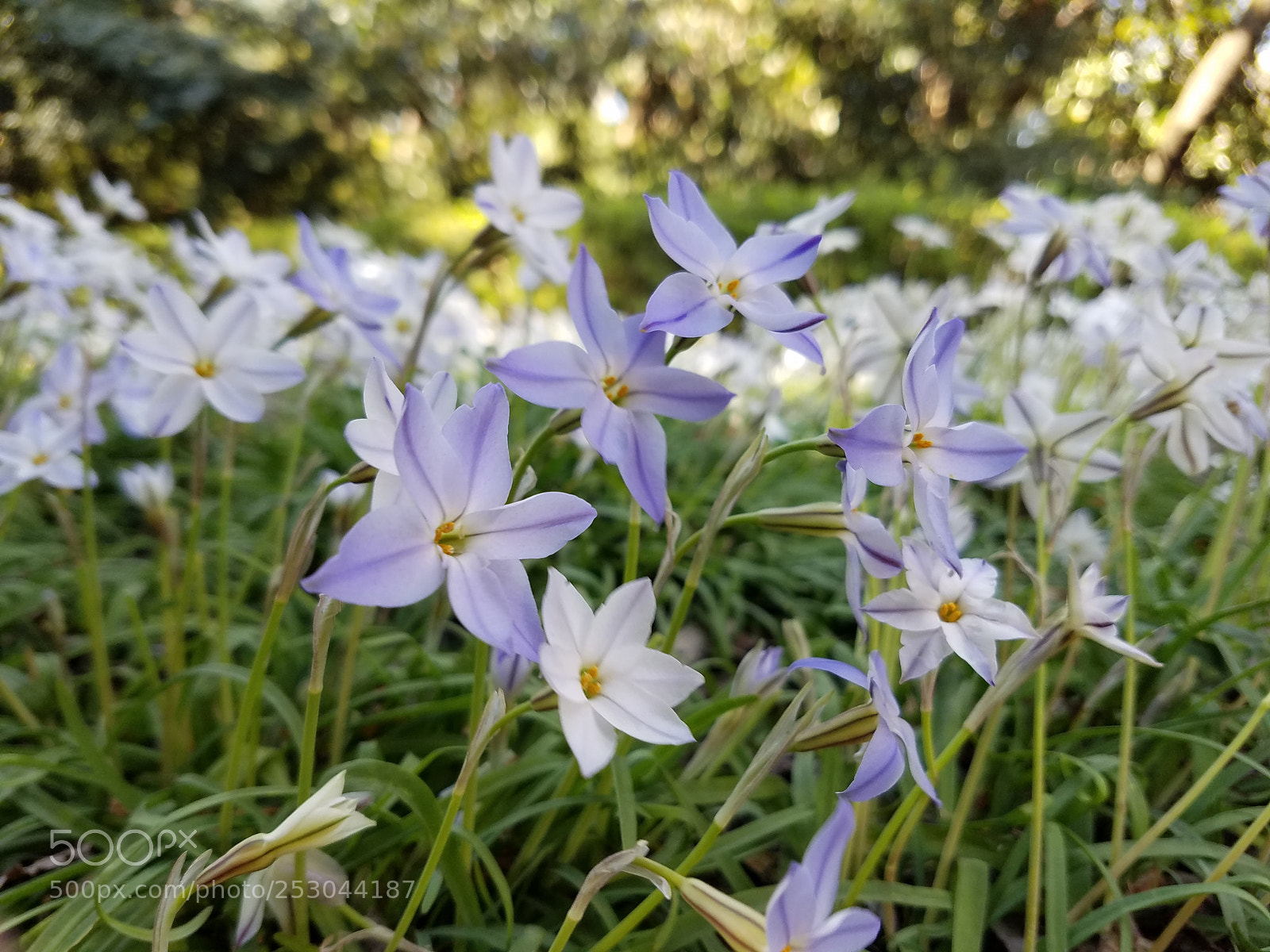 Samsung Galaxy S7 Edge sample photo. Untitled photography