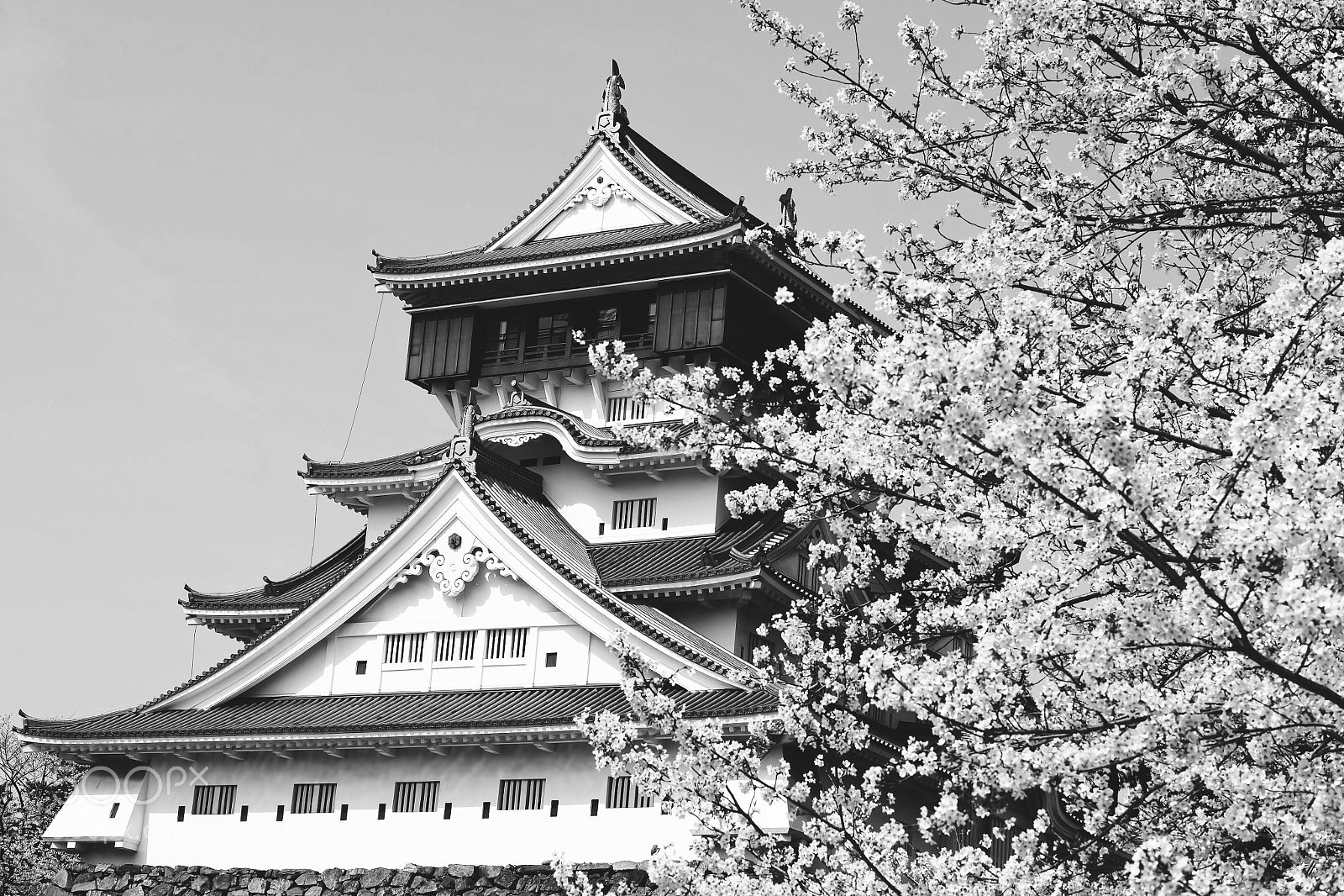 Fujifilm X-T1 sample photo. Cherry blossoms & castle photography
