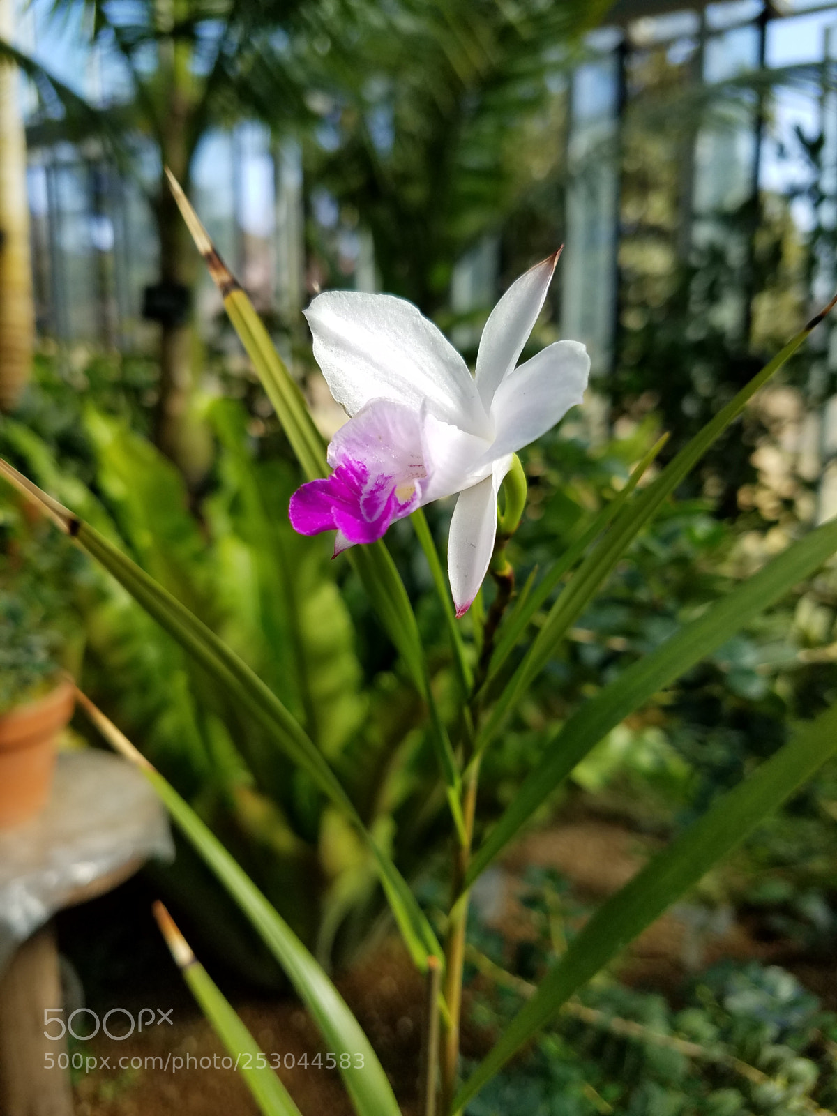 Samsung Galaxy S7 Edge sample photo. Untitled photography