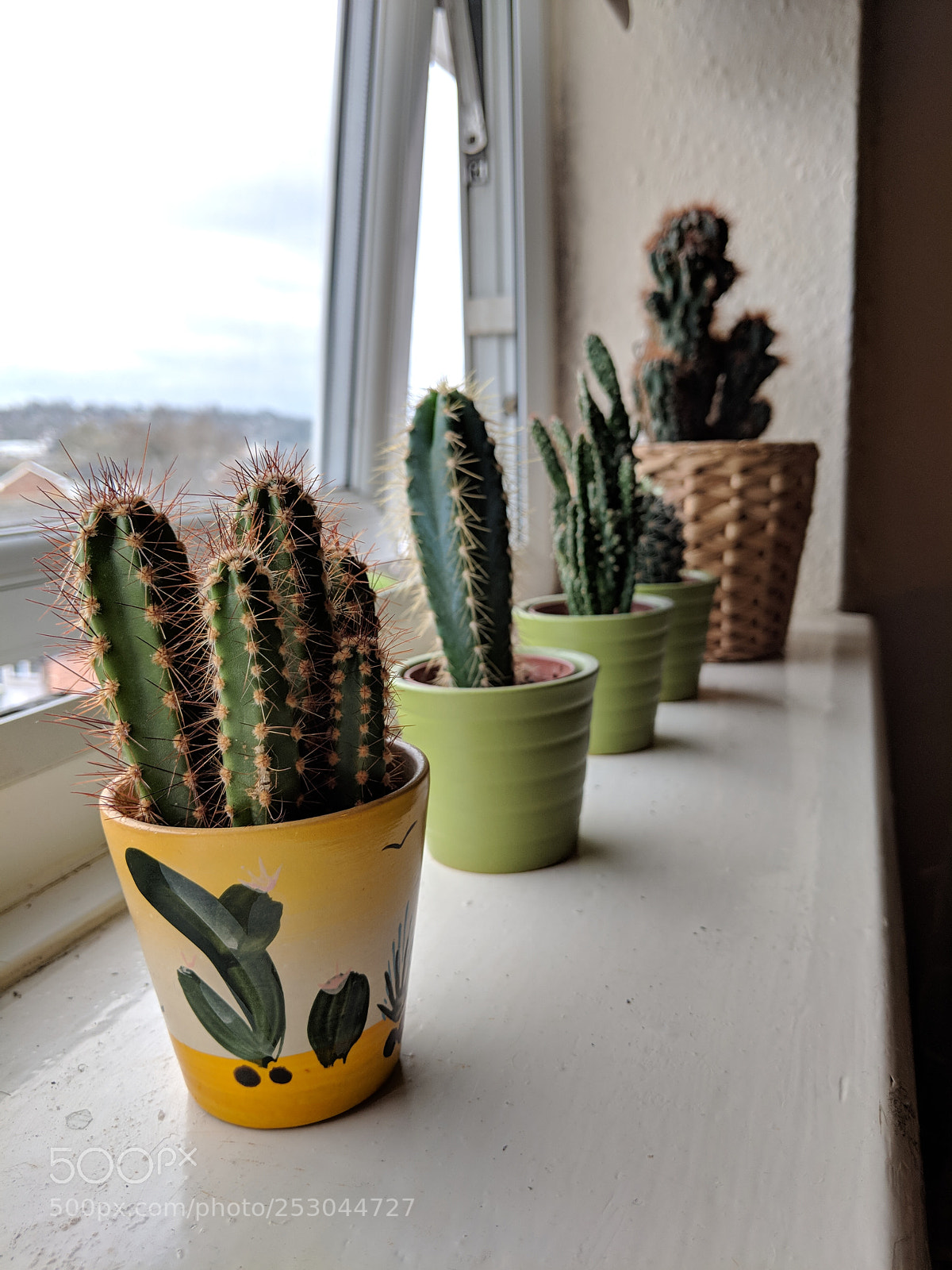 Google Pixel 2 sample photo. 12345 photography