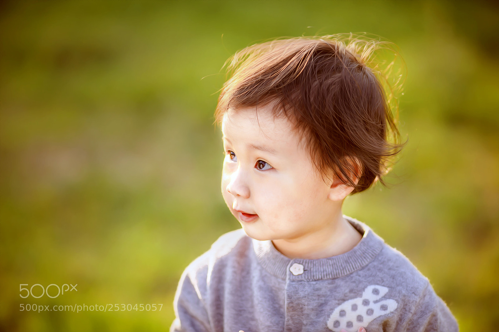 Canon EOS 5D Mark IV sample photo. Untitled photography