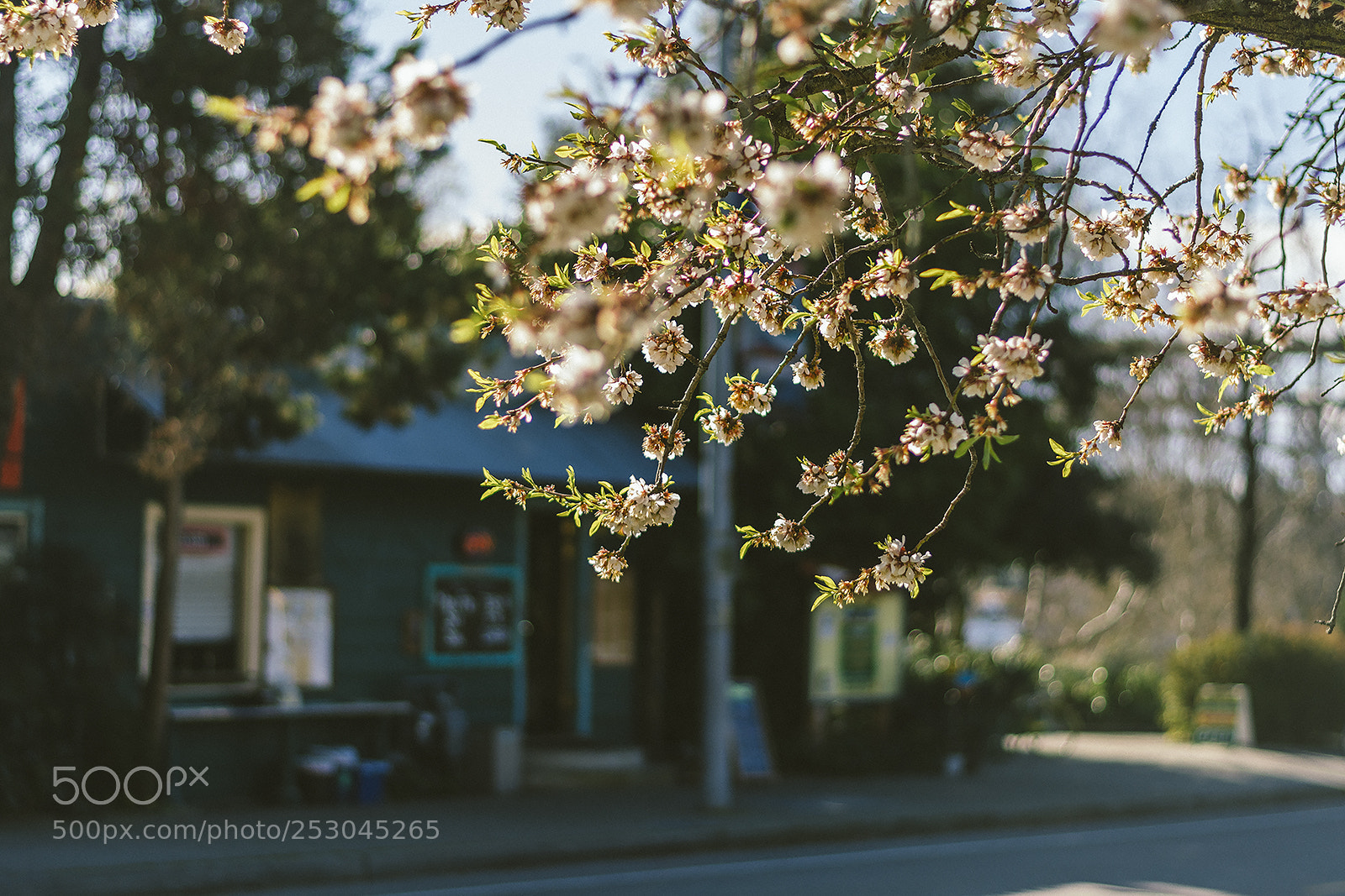 Nikon D7100 sample photo. Untitled photography