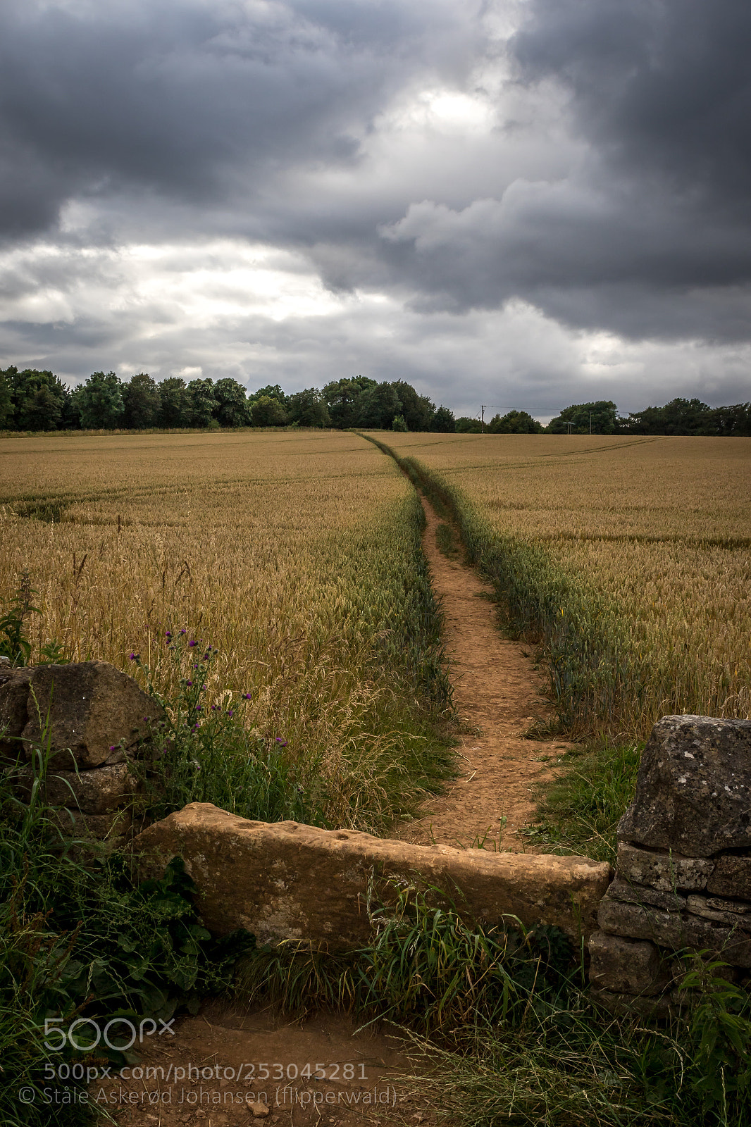 Canon EOS 7D Mark II sample photo. Fields of something bad photography