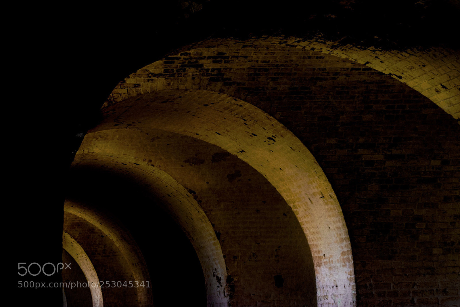 Nikon D5500 sample photo. Fort pulaski photography