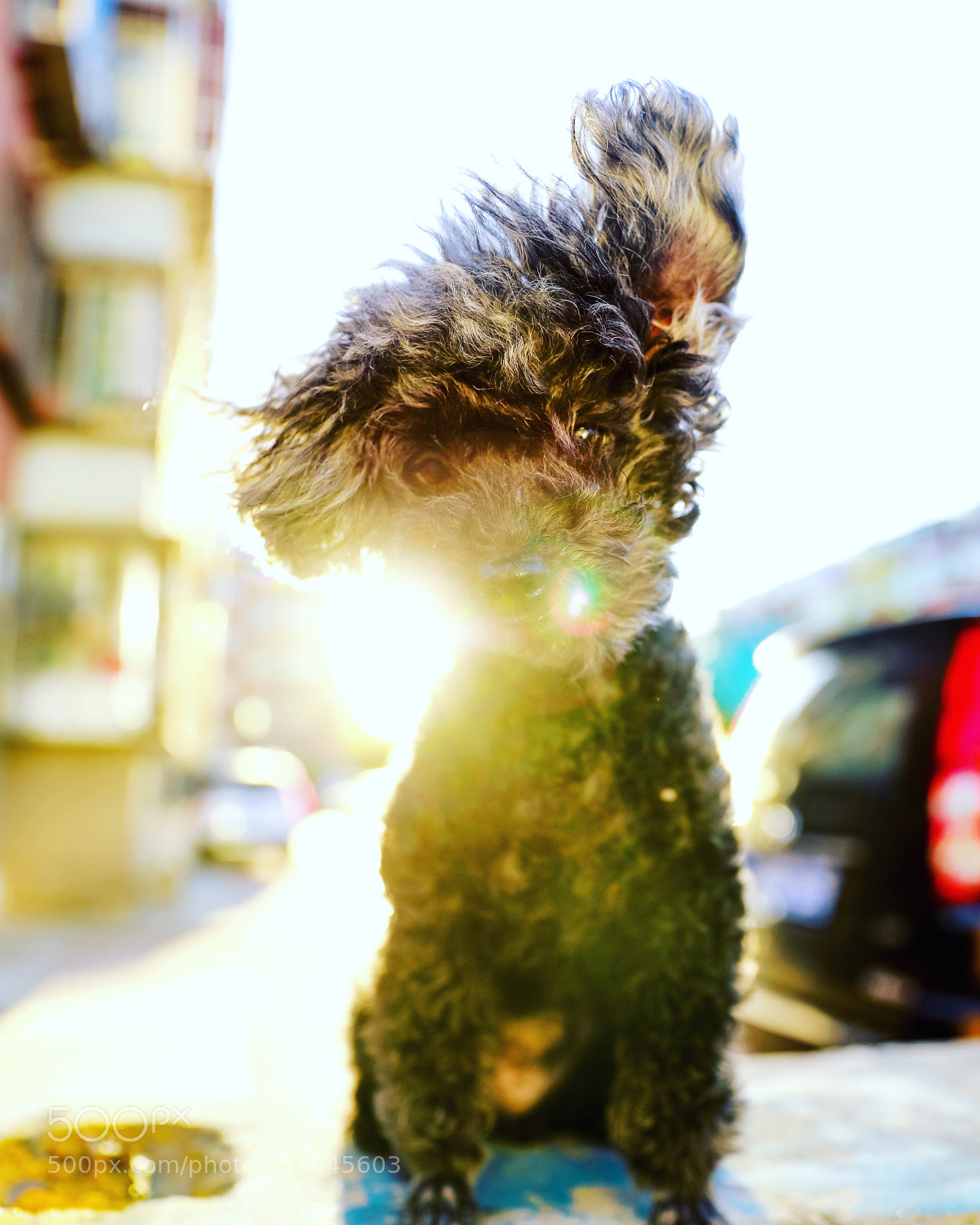 Canon EOS 5D Mark IV sample photo. ? photography