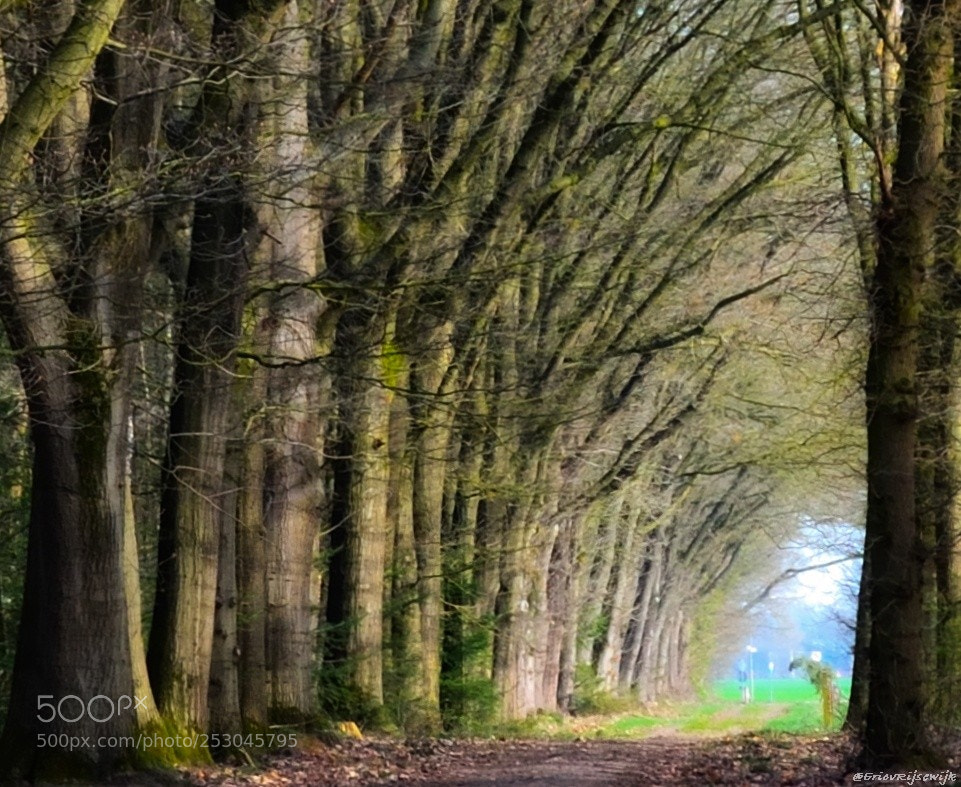 Nikon D3100 sample photo. Kampina photography