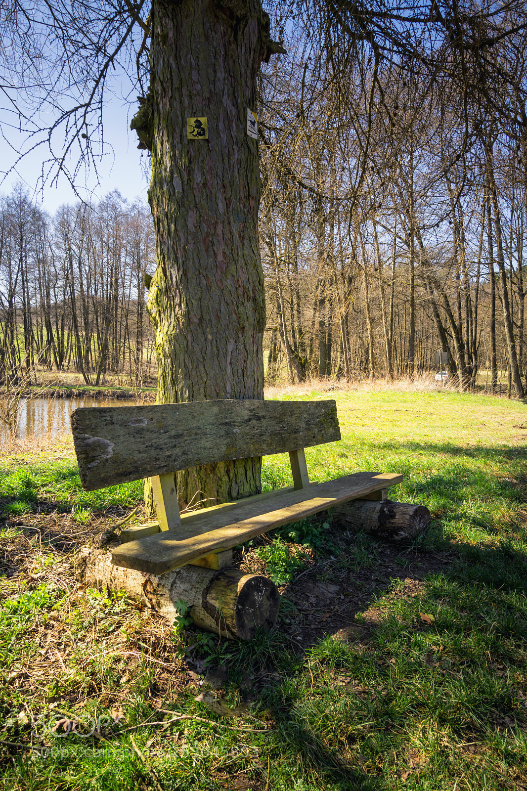 Sony a6000 sample photo. Weathered and wooden bench photography