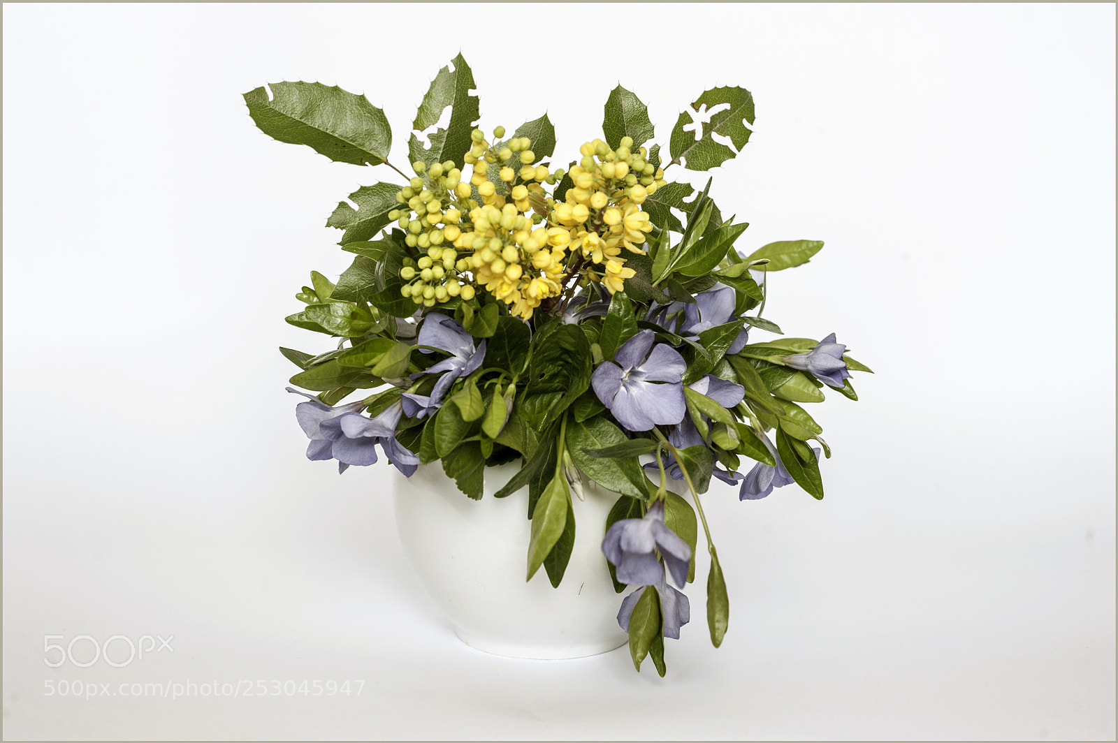 Nikon D700 sample photo. *** photography