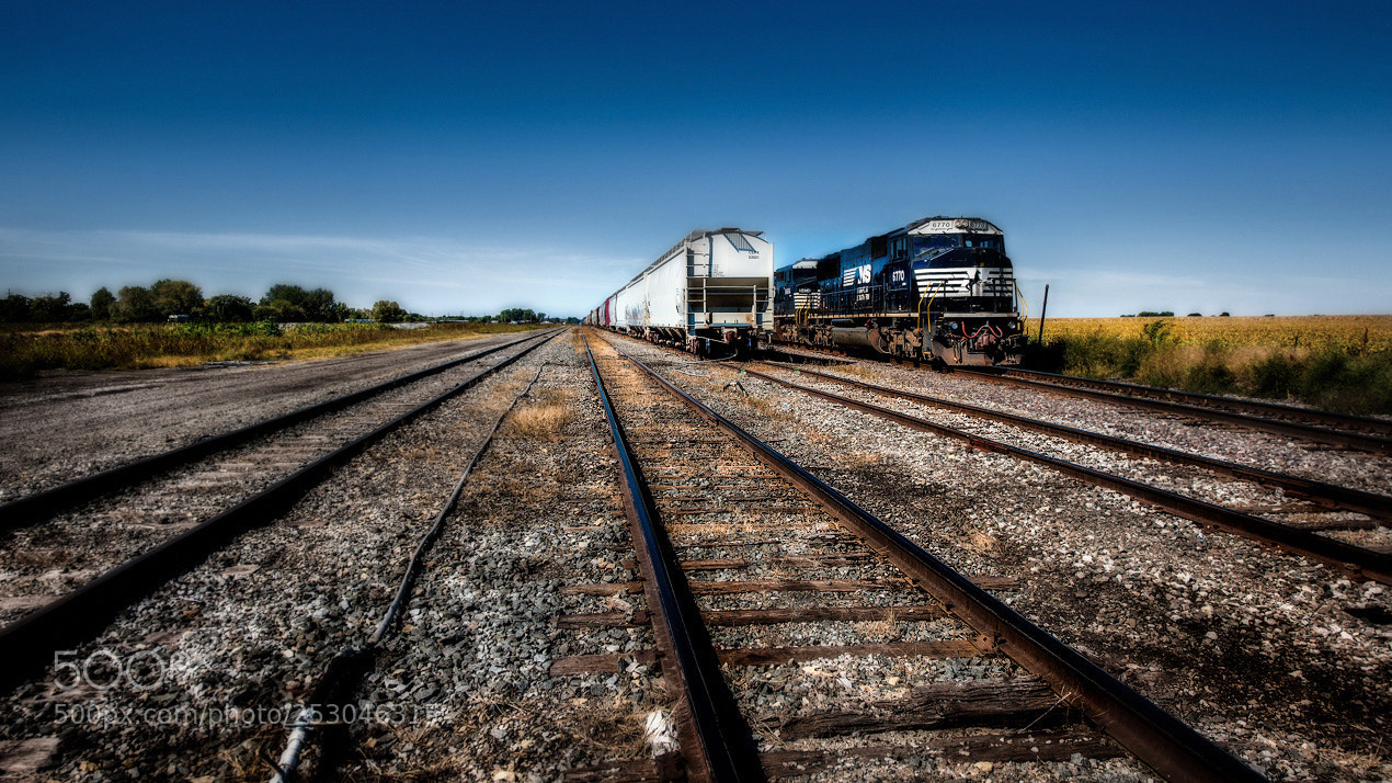 Nikon D3X sample photo. Trains indiana color bgs photography