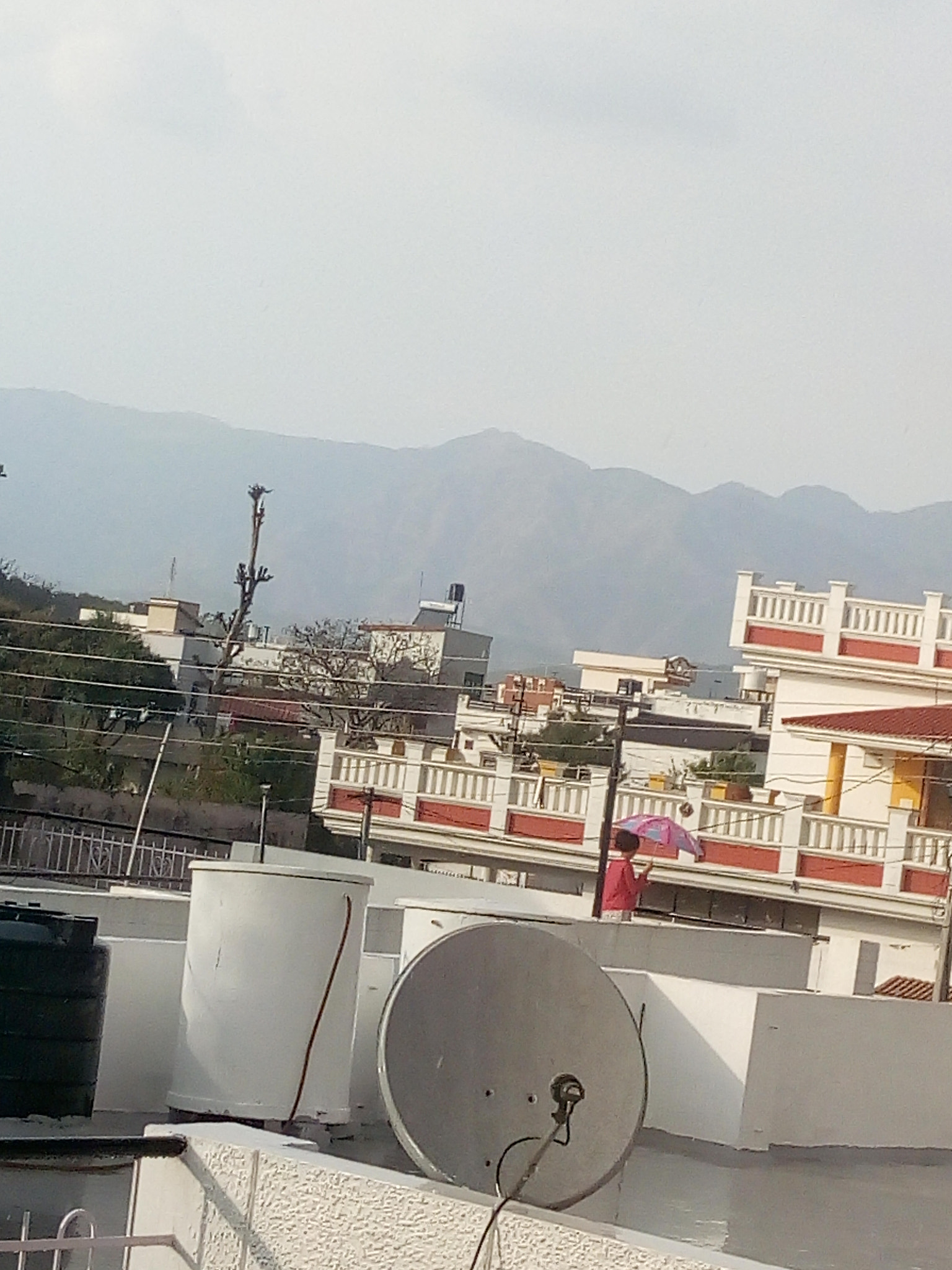 Motorola Moto E (4) Plus sample photo