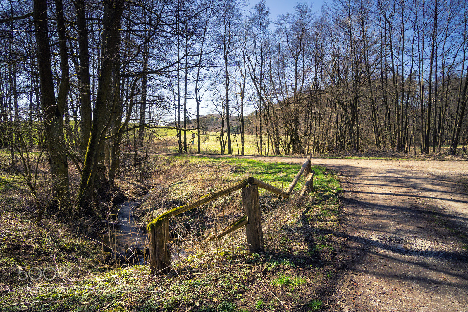 Sony a6000 sample photo. Forest view to the photography