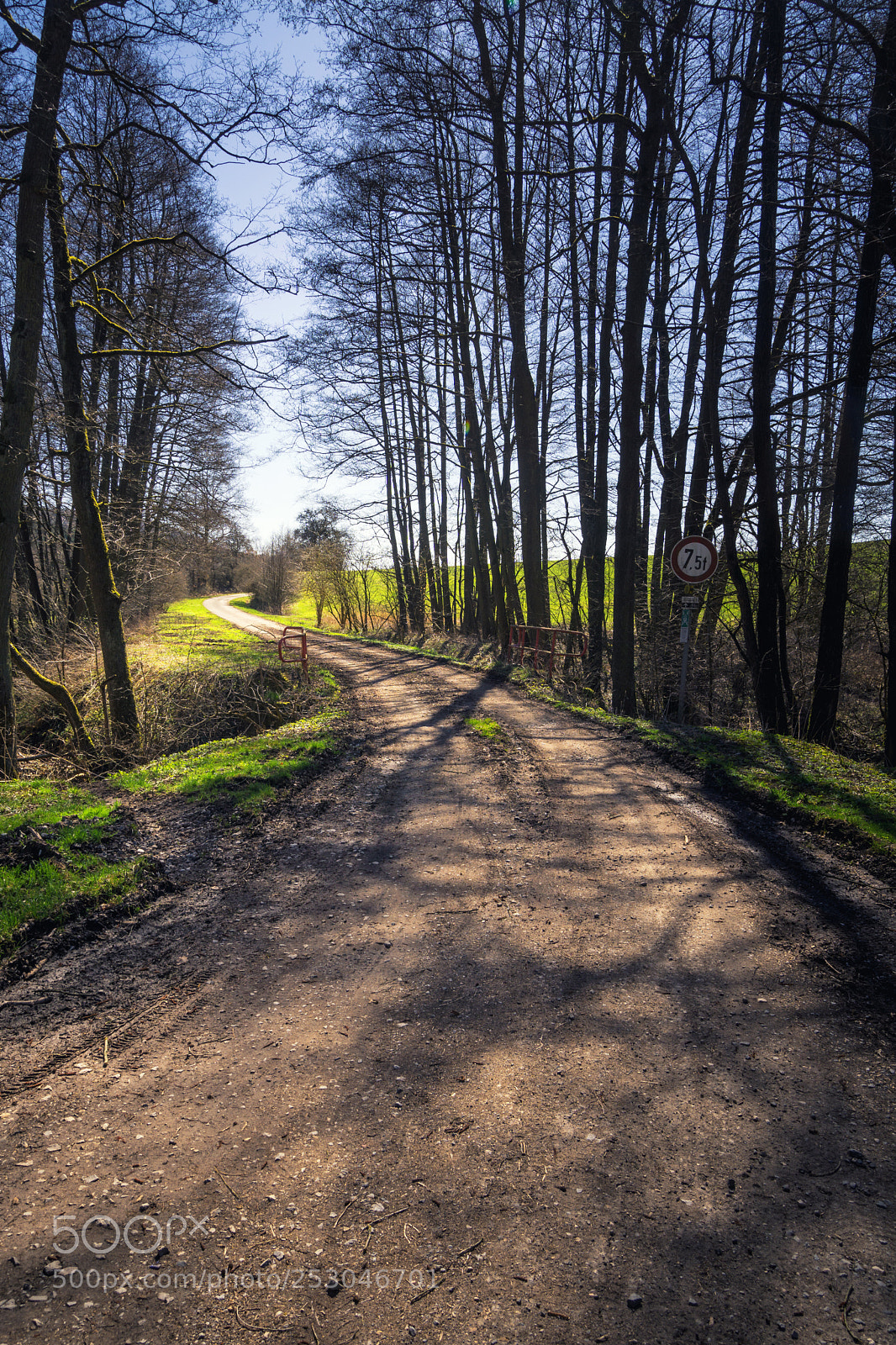 Sony a6000 sample photo. Forest view to the photography