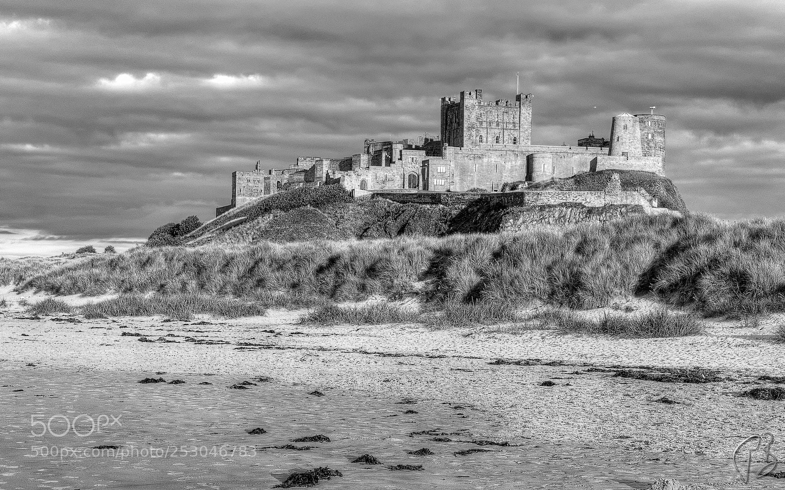 Canon EOS 70D sample photo. Bamburgh castle in monochrome photography