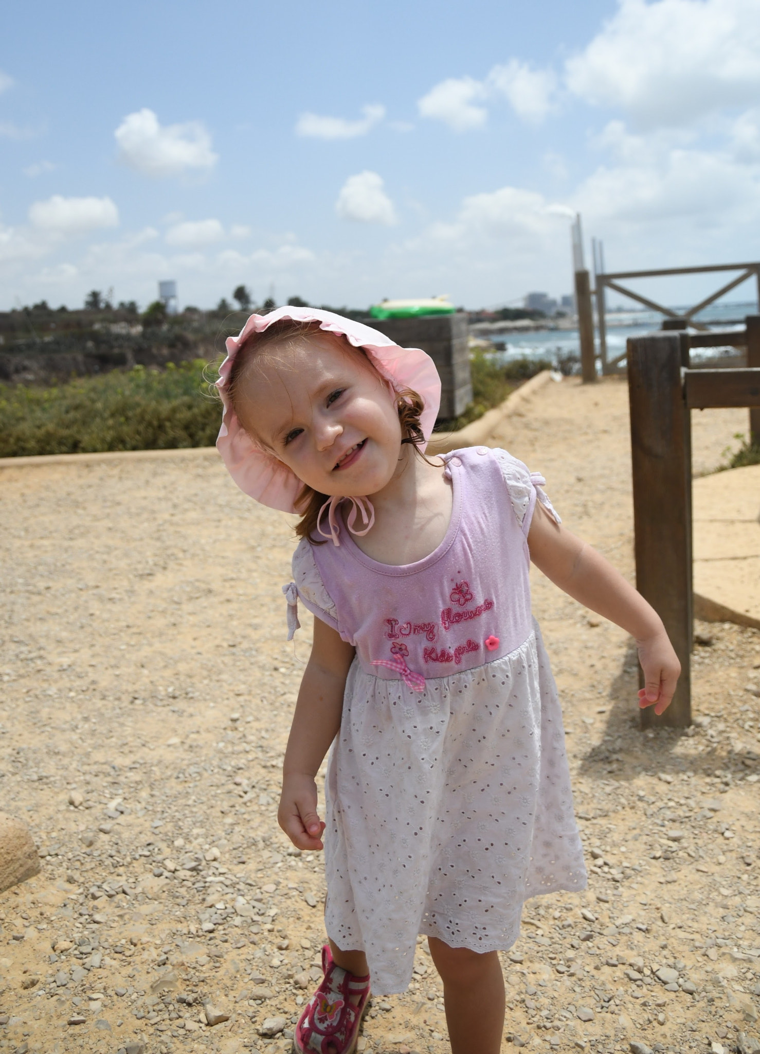 Nikon D7500 sample photo. ~ photography