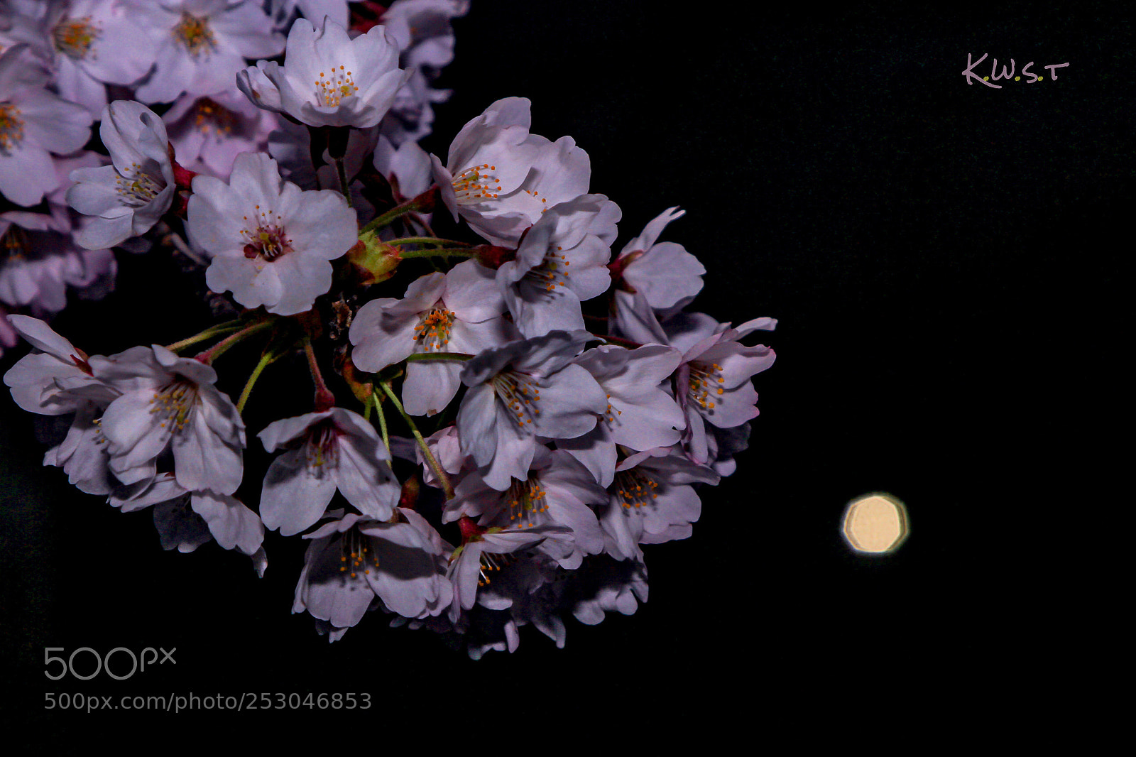 Canon EOS 60D sample photo. Untitled photography