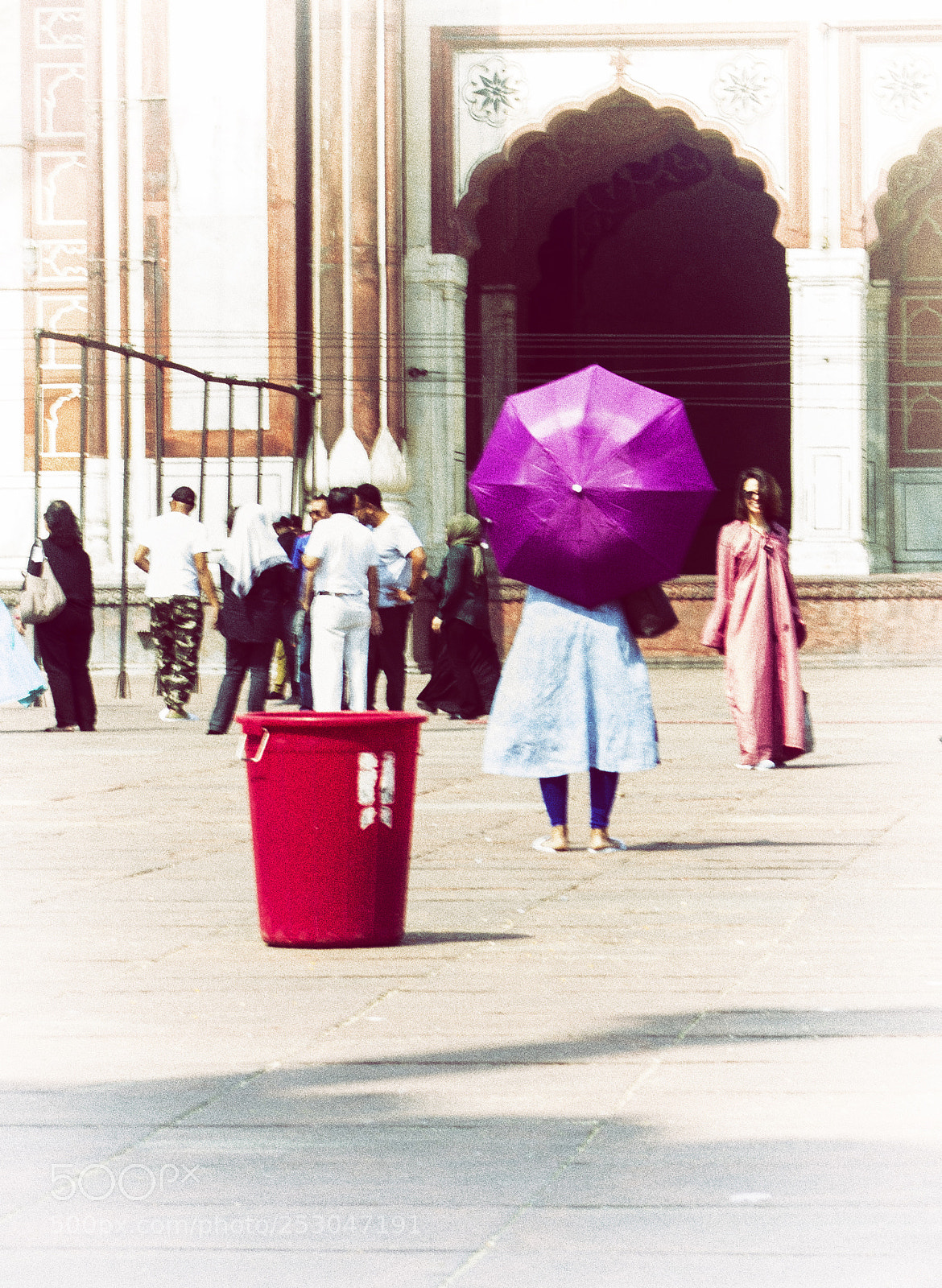 Nikon D5200 sample photo. Red & violet photography