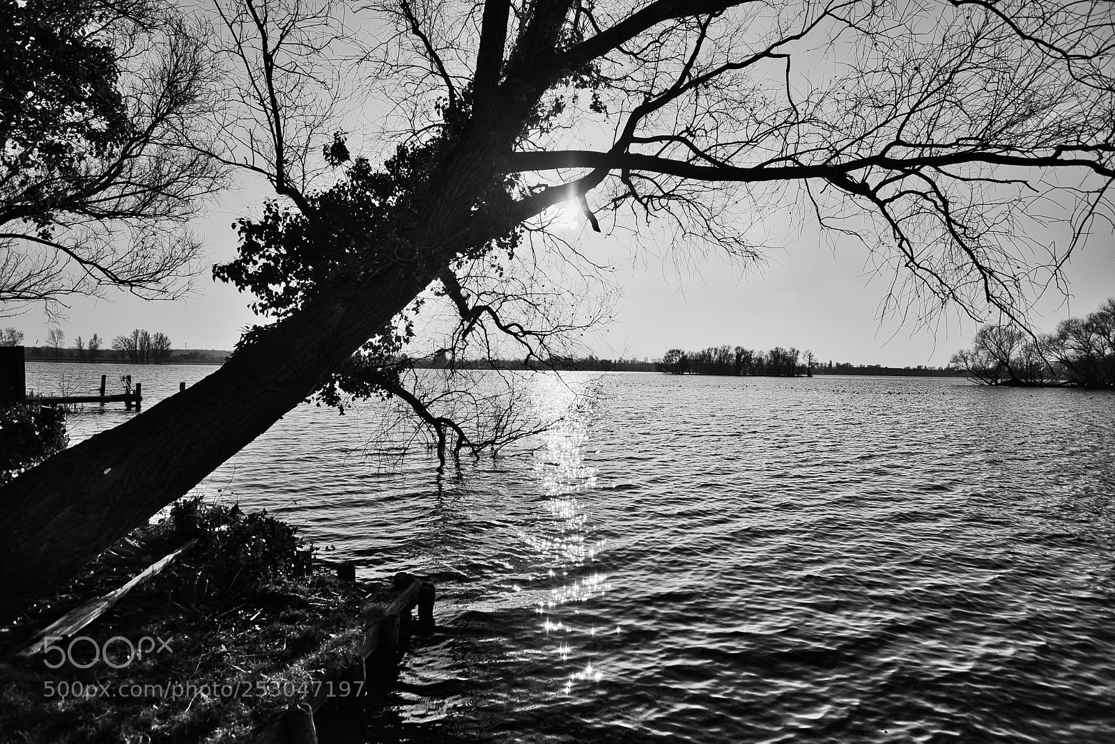Nikon D5300 sample photo. Plas sun bw dsc photography