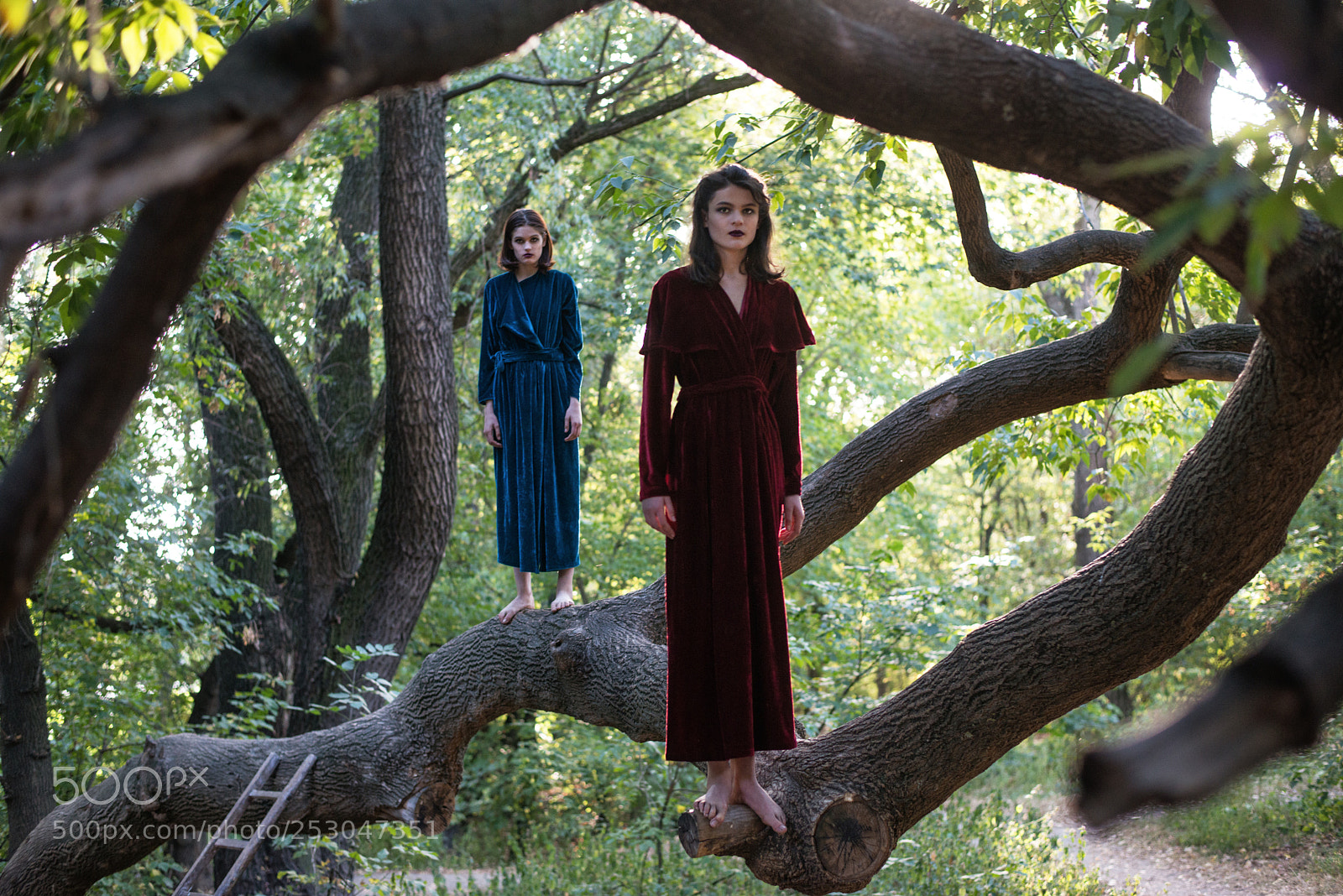Nikon D800E sample photo. Masha & varya photography