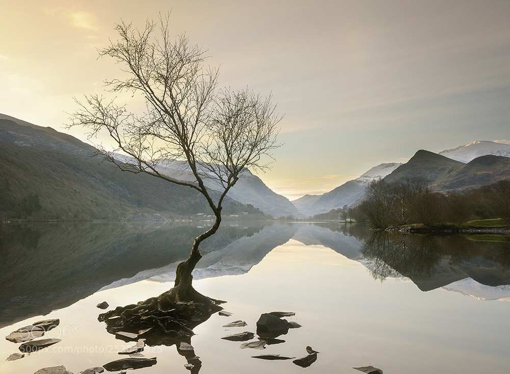 Nikon D7200 sample photo. Llyn padarn, snowdonia, wales photography