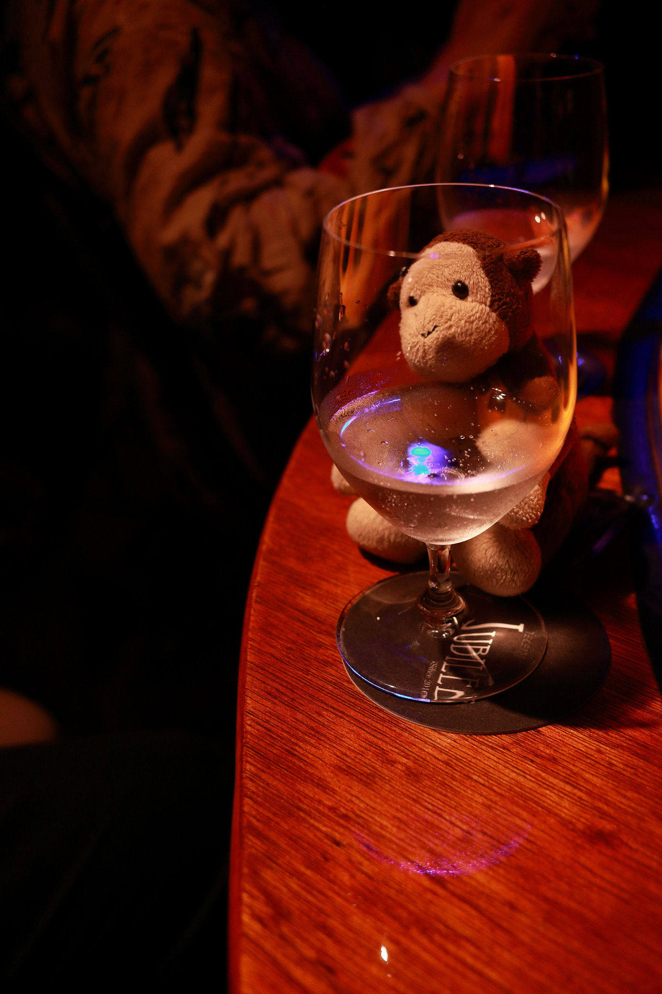 Canon EOS 100D (EOS Rebel SL1 / EOS Kiss X7) + Canon EF-S 24mm F2.8 STM sample photo. Monkey in bar photography