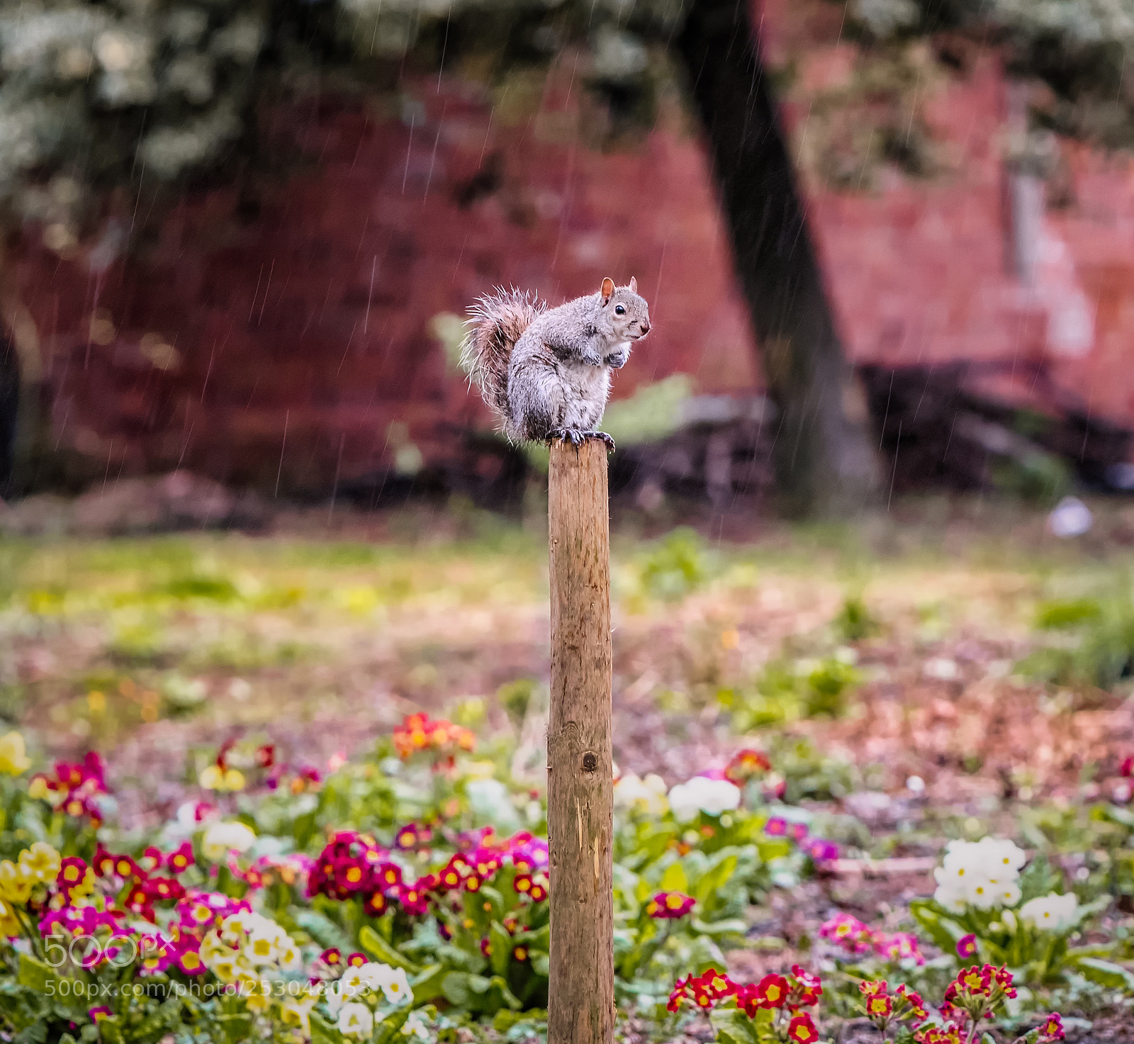 Nikon D810 sample photo. Untitled photography