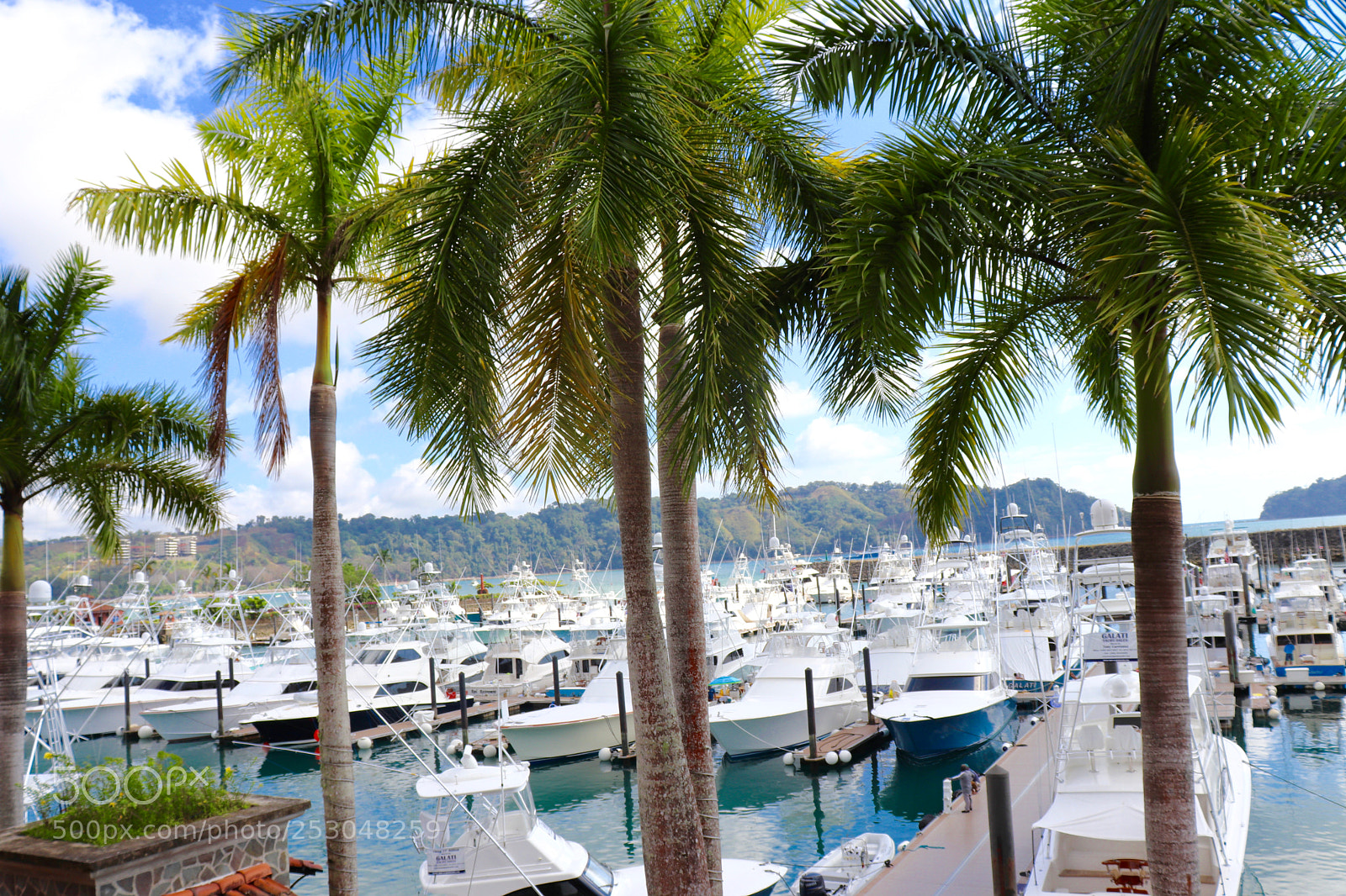 Canon EOS 800D (EOS Rebel T7i / EOS Kiss X9i) sample photo. Yacht club photography