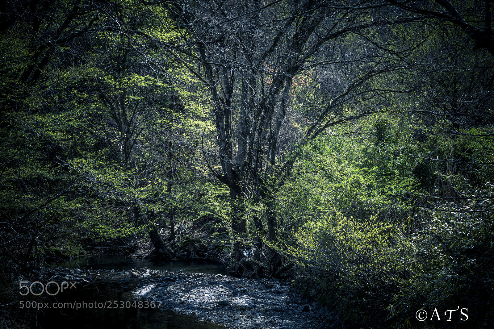 Canon EOS 5D Mark IV sample photo. Existence photography