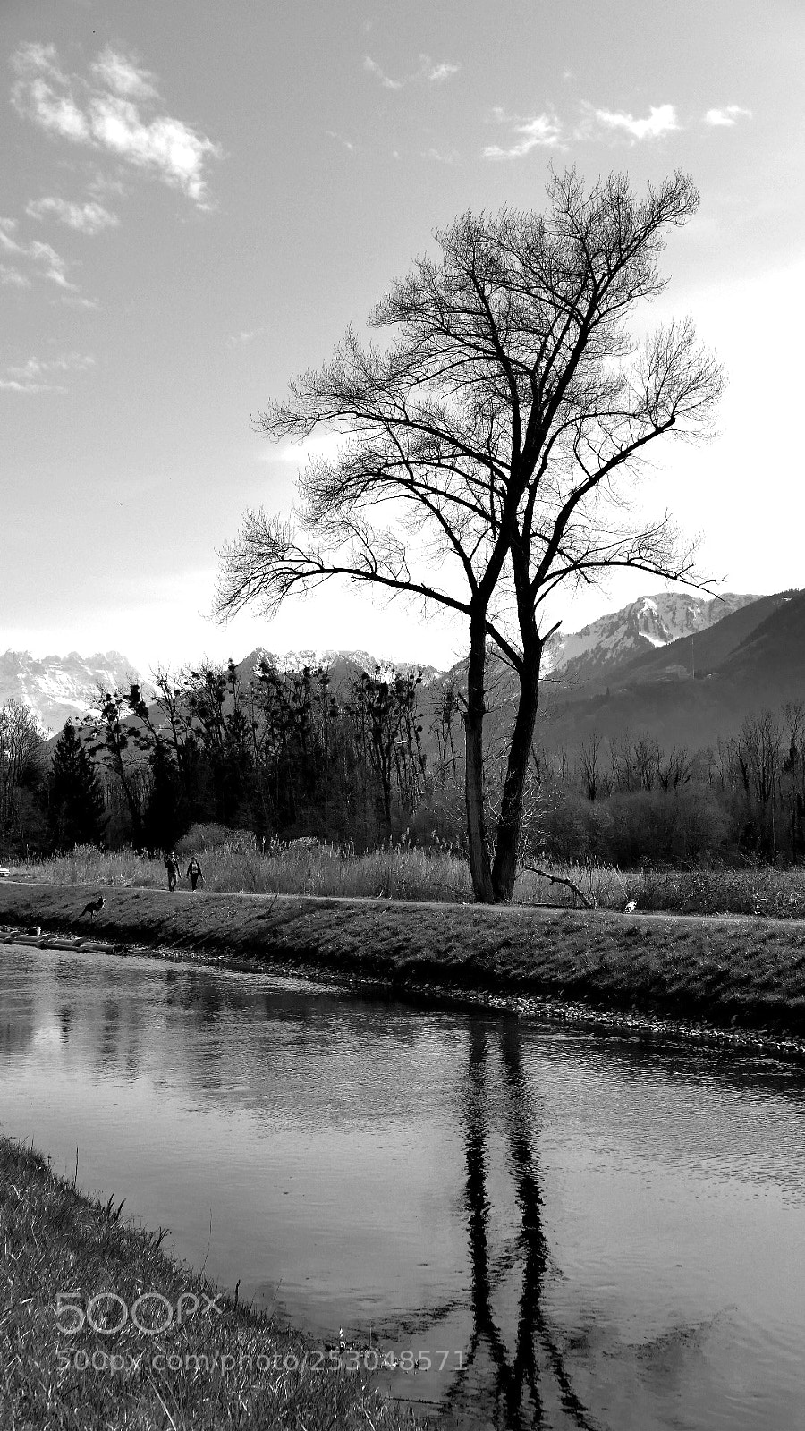 Panasonic Lumix DMC-LX100 sample photo. Elegance et finesse photography