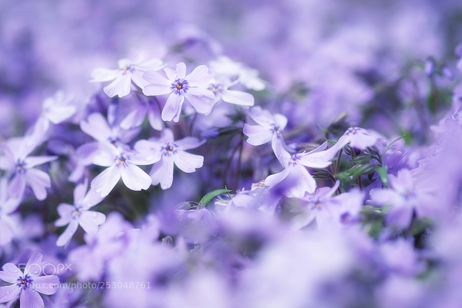Fujifilm X-T1 sample photo. Untitled photography