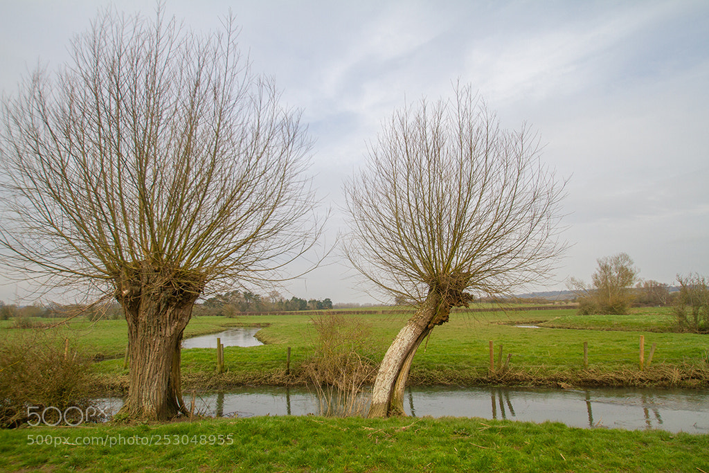 Canon EOS 7D sample photo. River evenlode photography