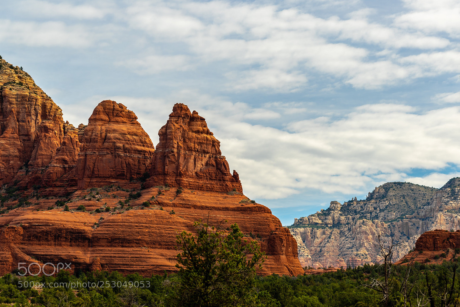Sony a7 II sample photo. Springtime in sedona photography