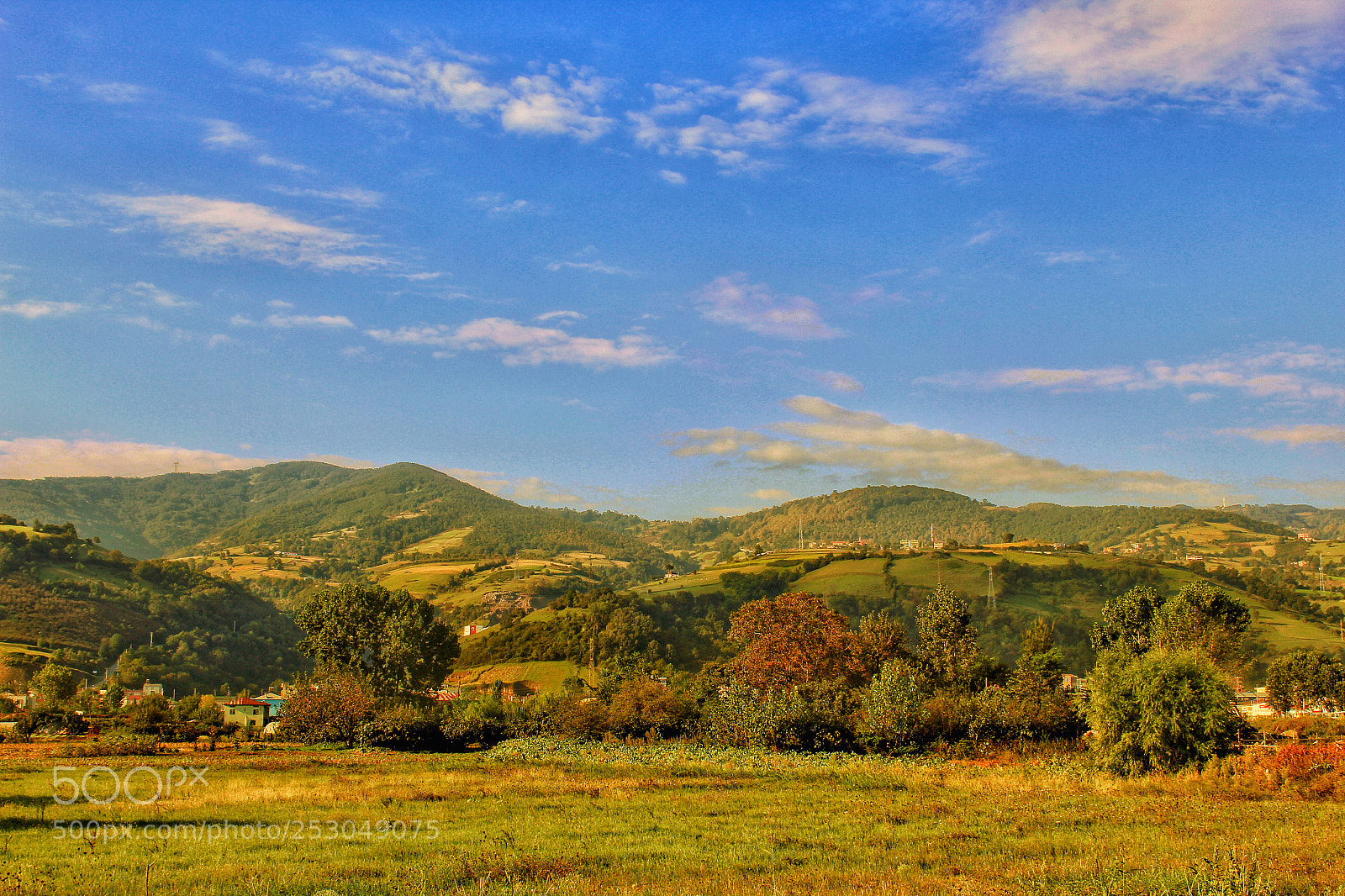 Canon EOS 600D (Rebel EOS T3i / EOS Kiss X5) sample photo. A view nature from photography