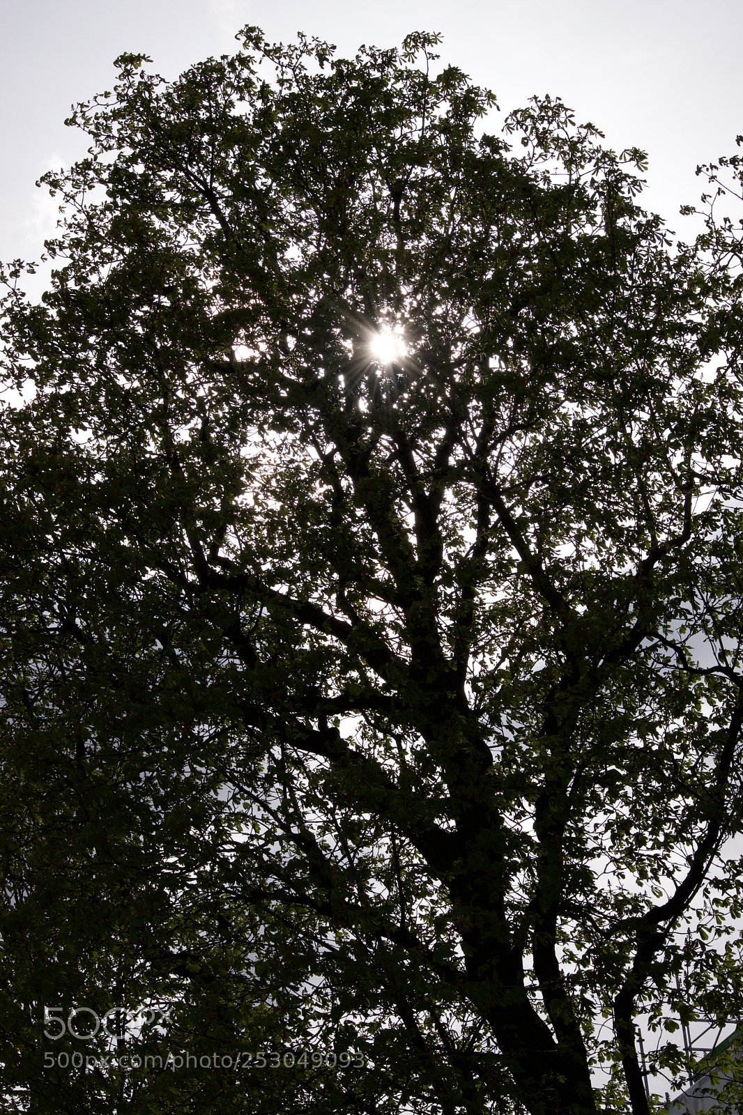 Nikon D3300 sample photo. Dsc photography