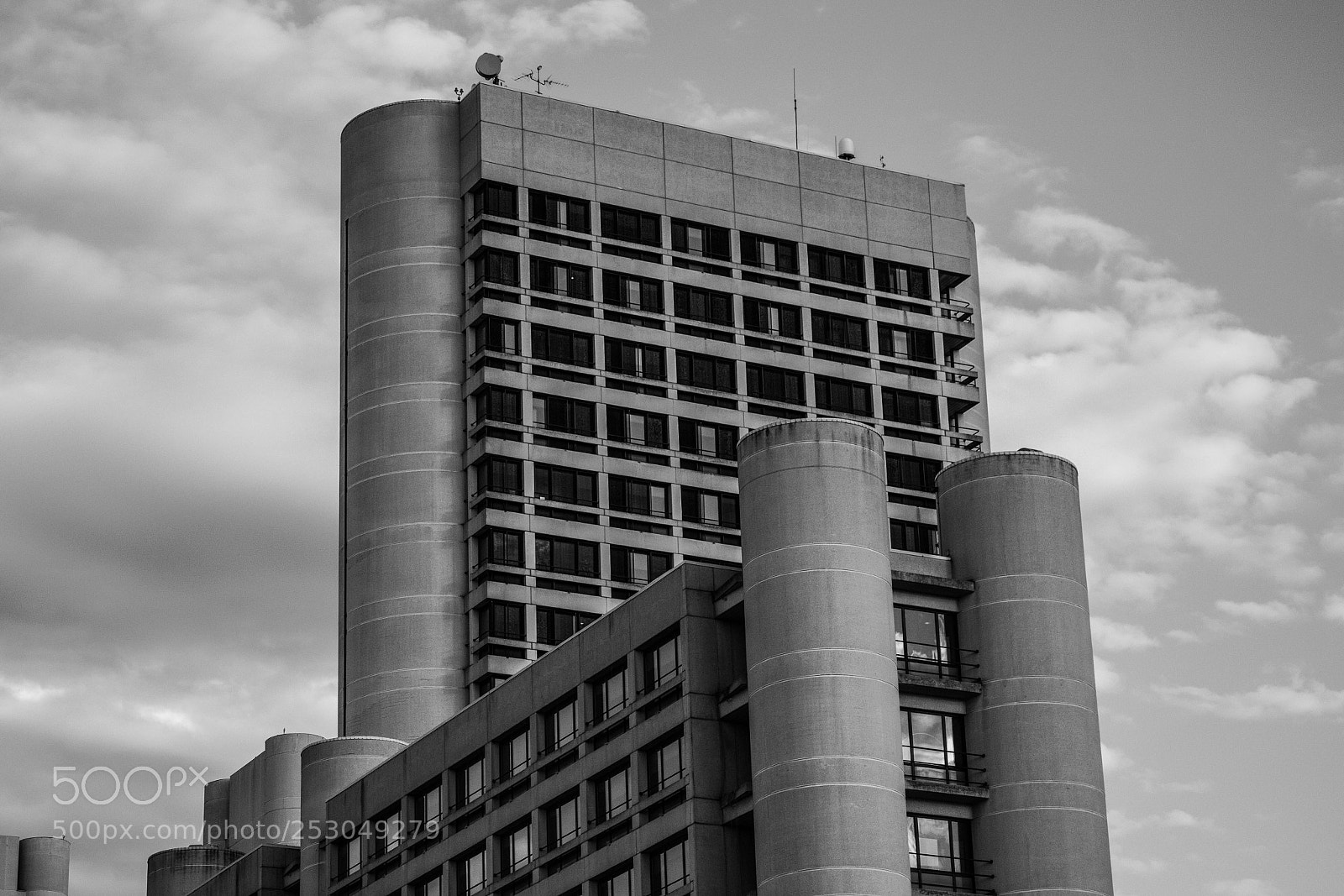 Nikon D5300 sample photo. Untitled photography