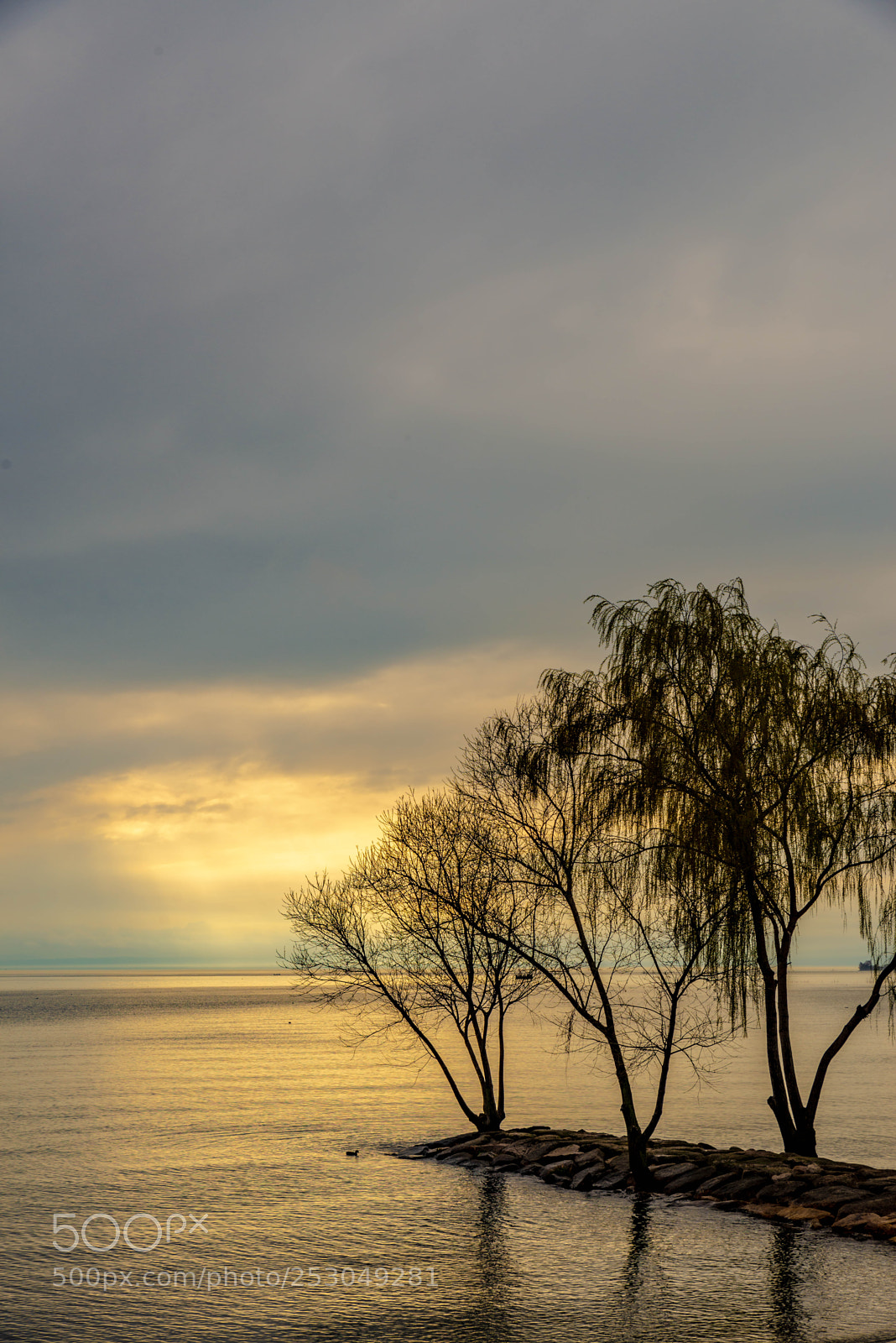 Nikon D600 sample photo. Untitled photography
