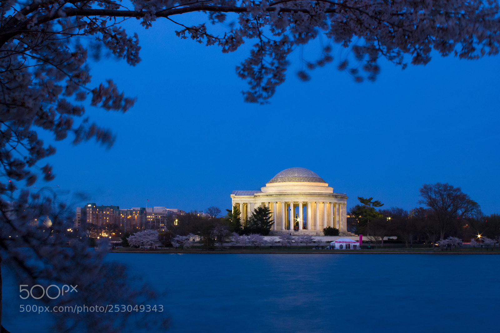 Canon EOS 550D (EOS Rebel T2i / EOS Kiss X4) sample photo. Cherry blossomed jefferson memorial photography