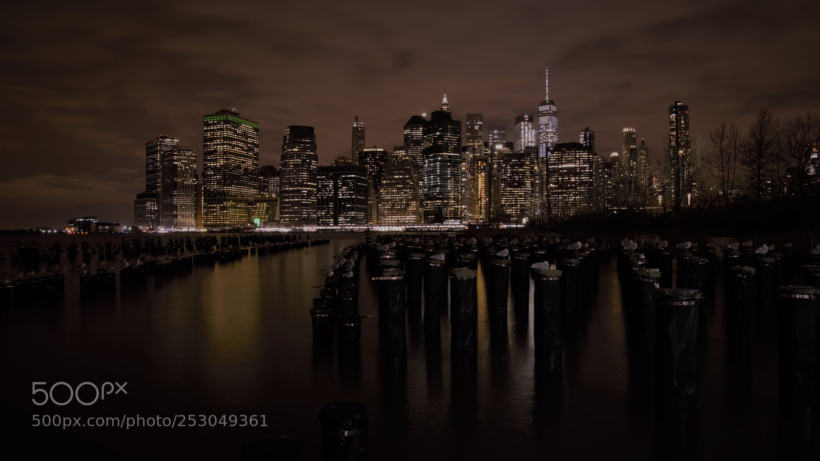 Nikon D600 sample photo. New york in twilight photography