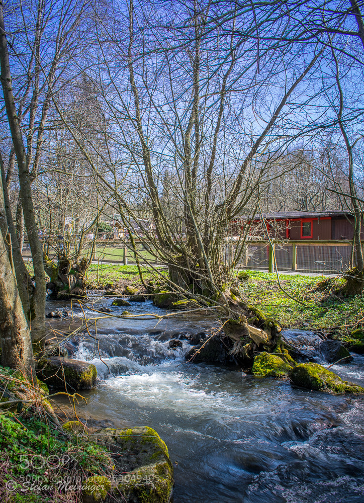 Nikon D5300 sample photo. Vogelpark schotten photography