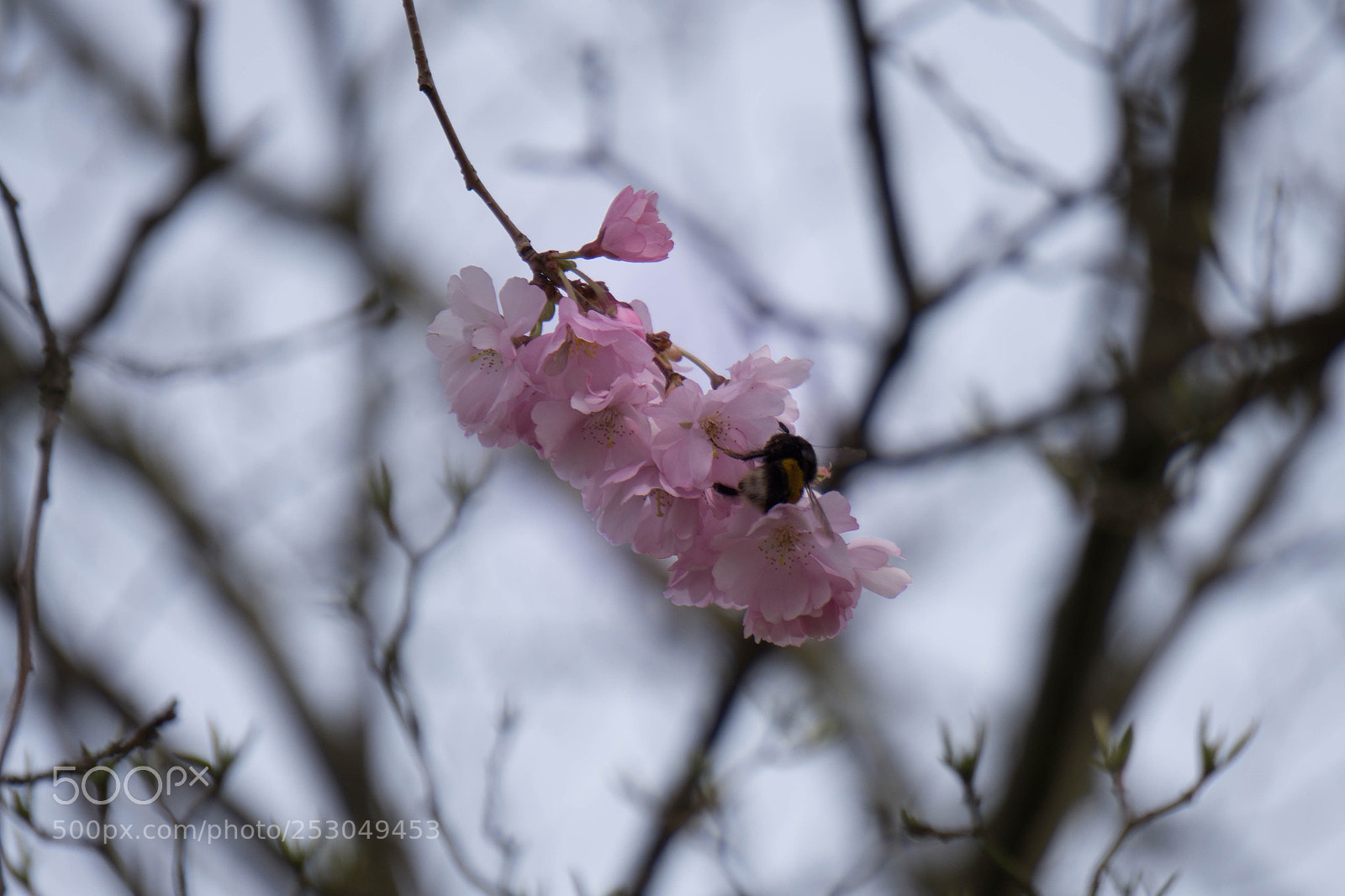 Sony a6000 sample photo. Untitled photography