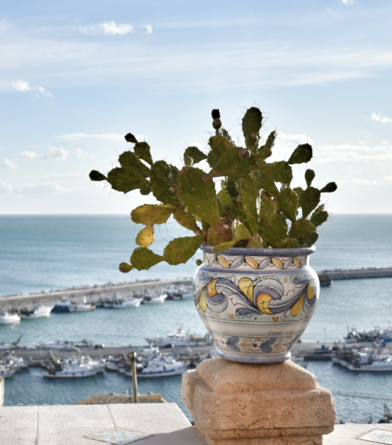 Nikon D3400 sample photo. Porto di sciacca, sicilia photography