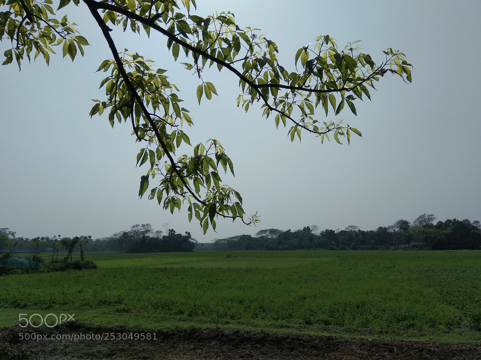 Xiaomi Redmi Note 4 sample photo. Untitled photography