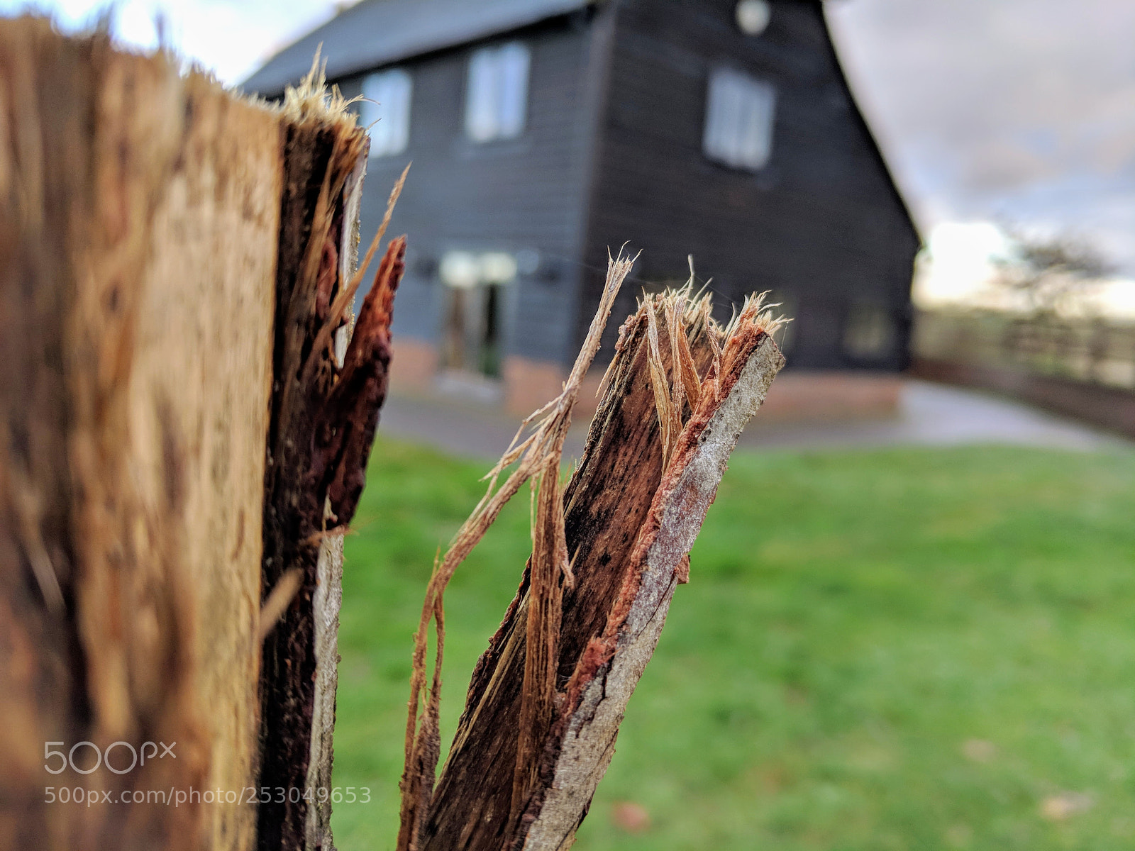 Google Pixel sample photo. Untitled photography