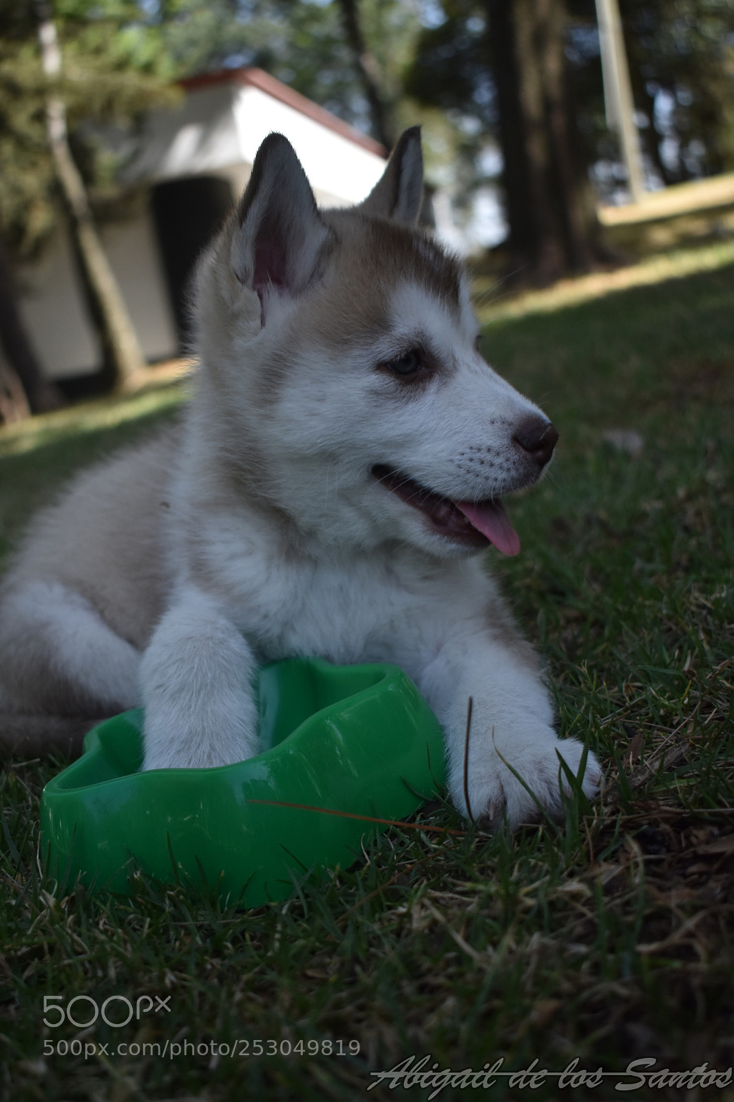Nikon D3400 sample photo. Hunter photography
