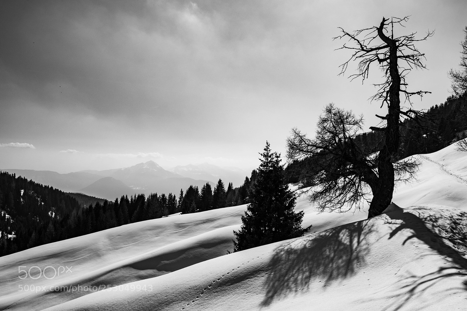 Fujifilm X-T2 sample photo. Staffetta generazionale photography