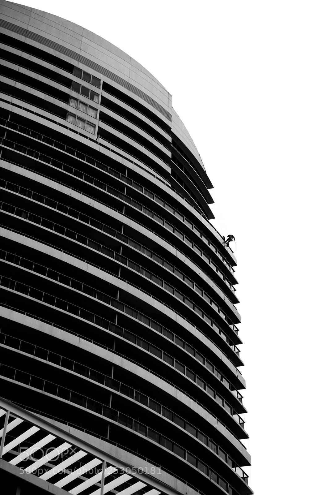 Nikon D800 sample photo. Clean photography